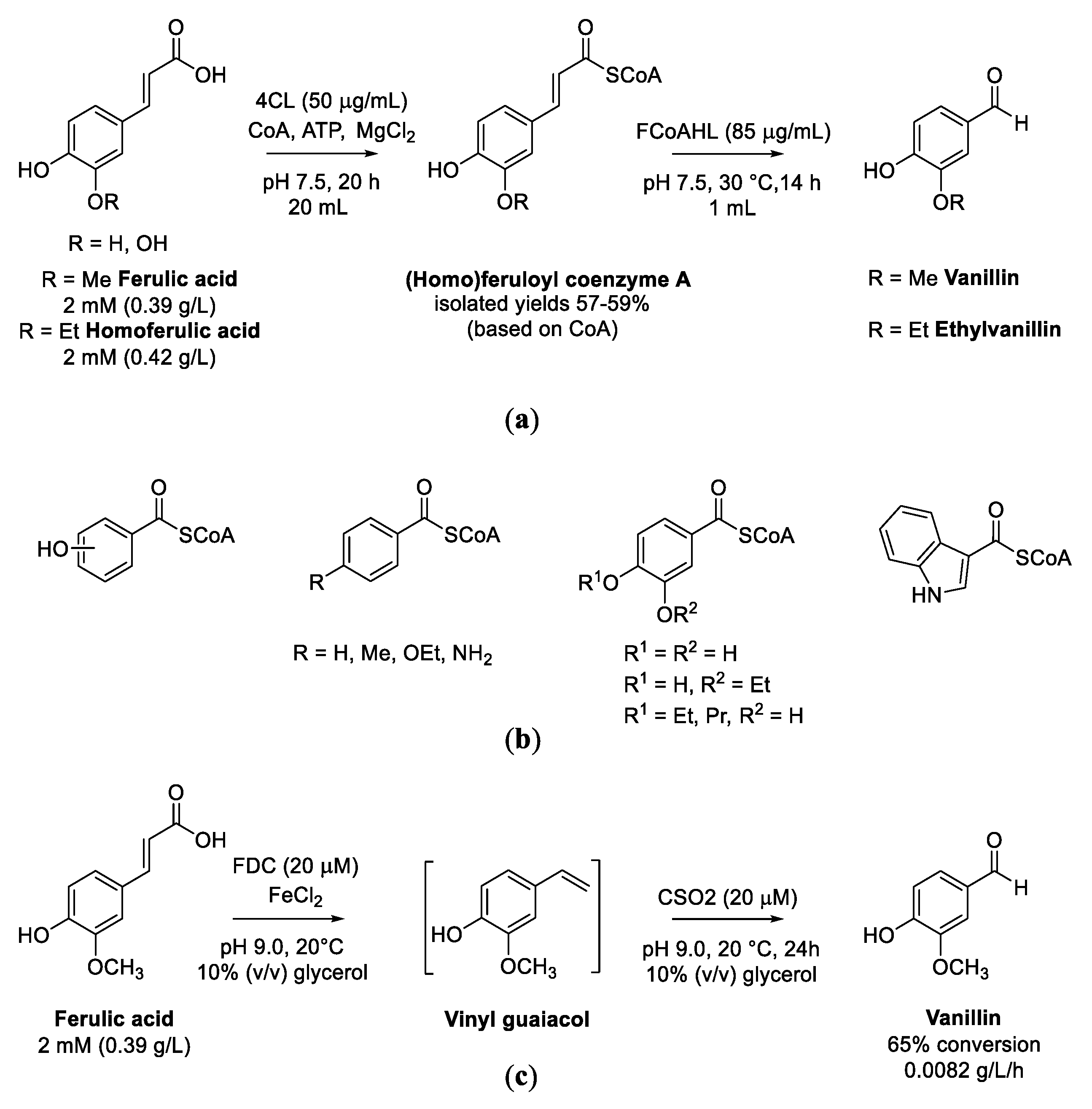 Biomolecules 13 00717 sch009