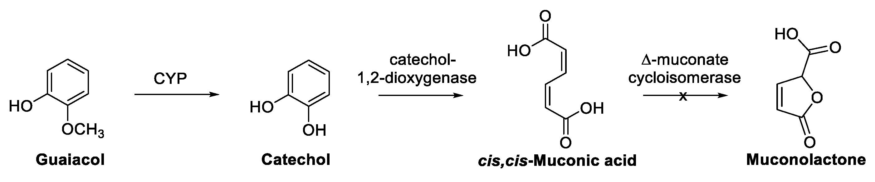 Biomolecules 13 00717 sch015