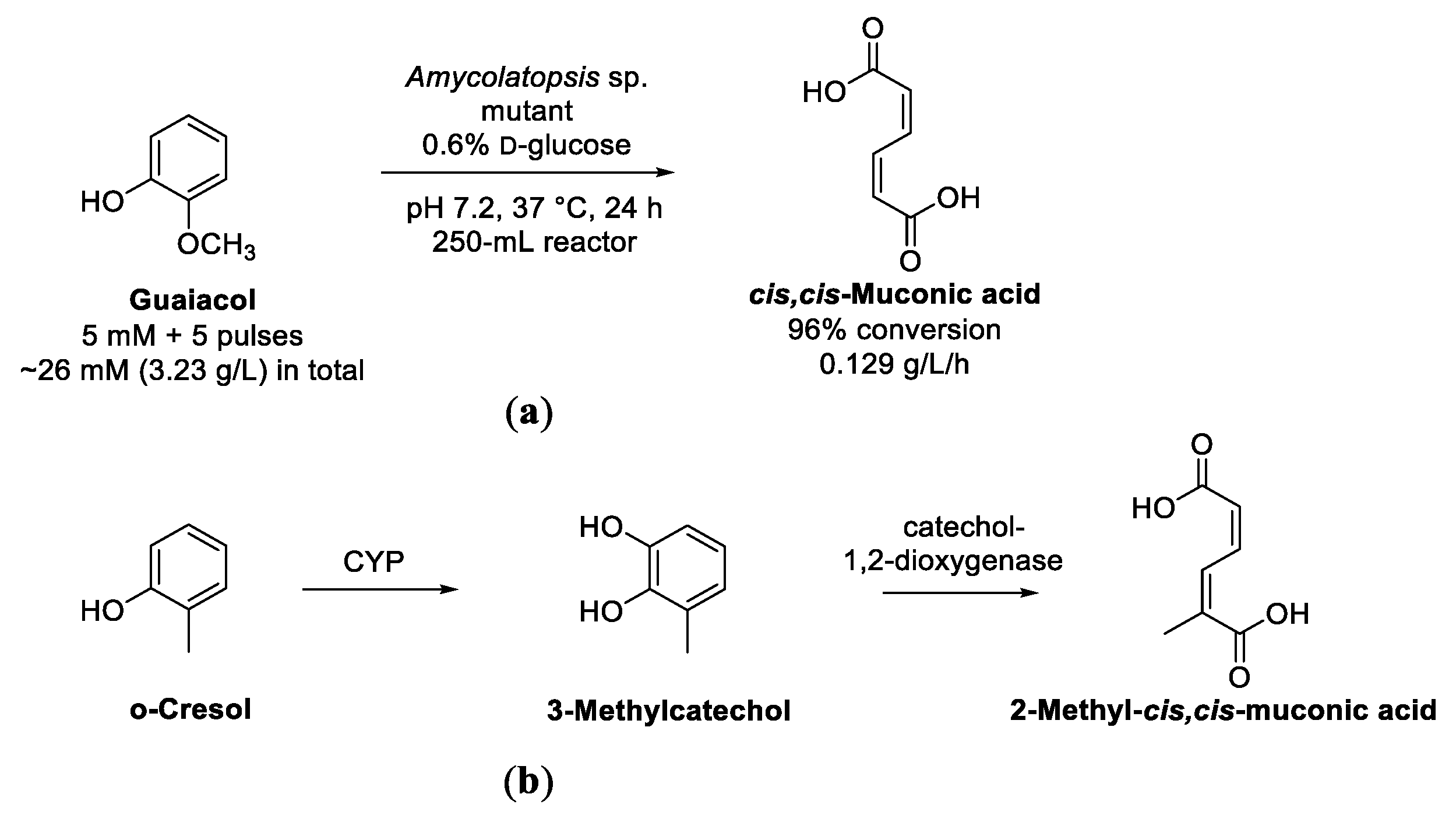 Biomolecules 13 00717 sch016