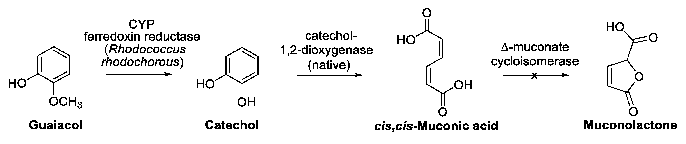 Biomolecules 13 00717 sch017