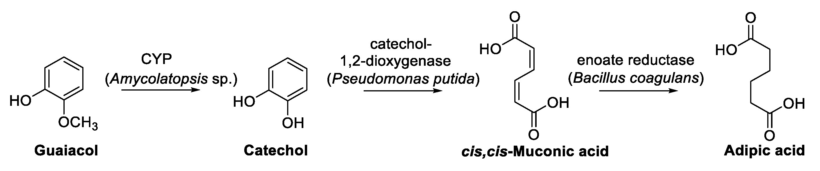 Biomolecules 13 00717 sch019
