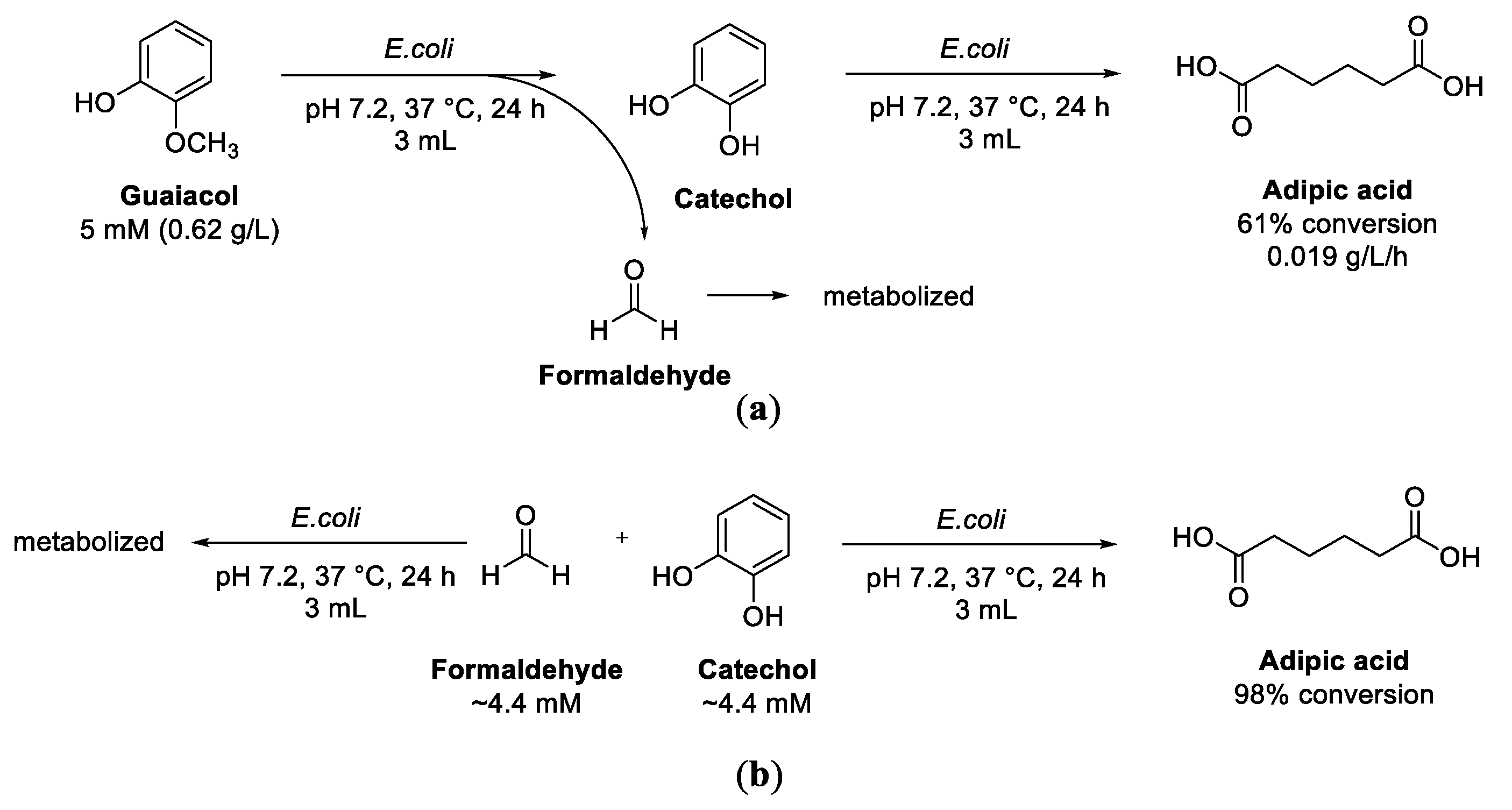Biomolecules 13 00717 sch020