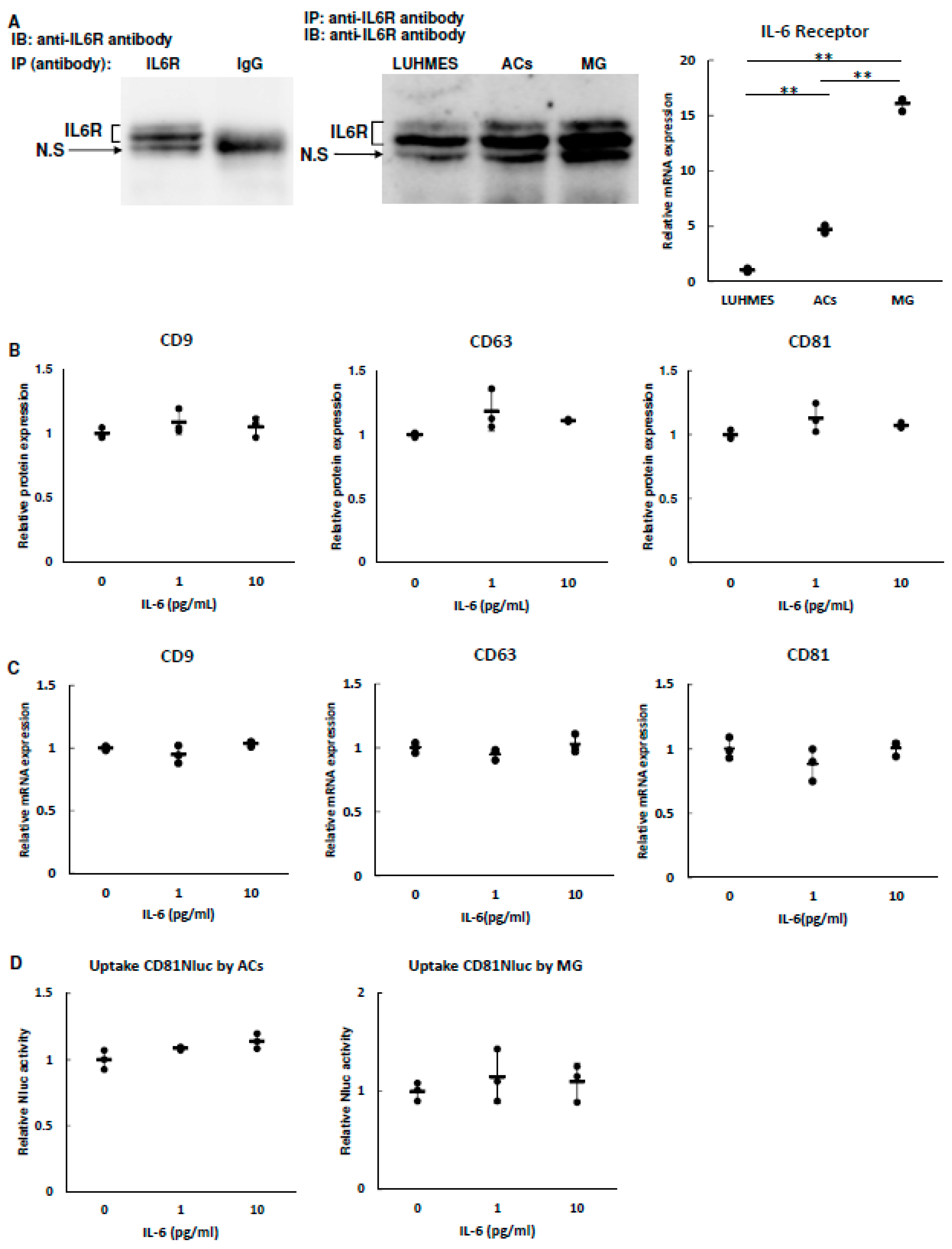 Biomolecules 13 00718 g005