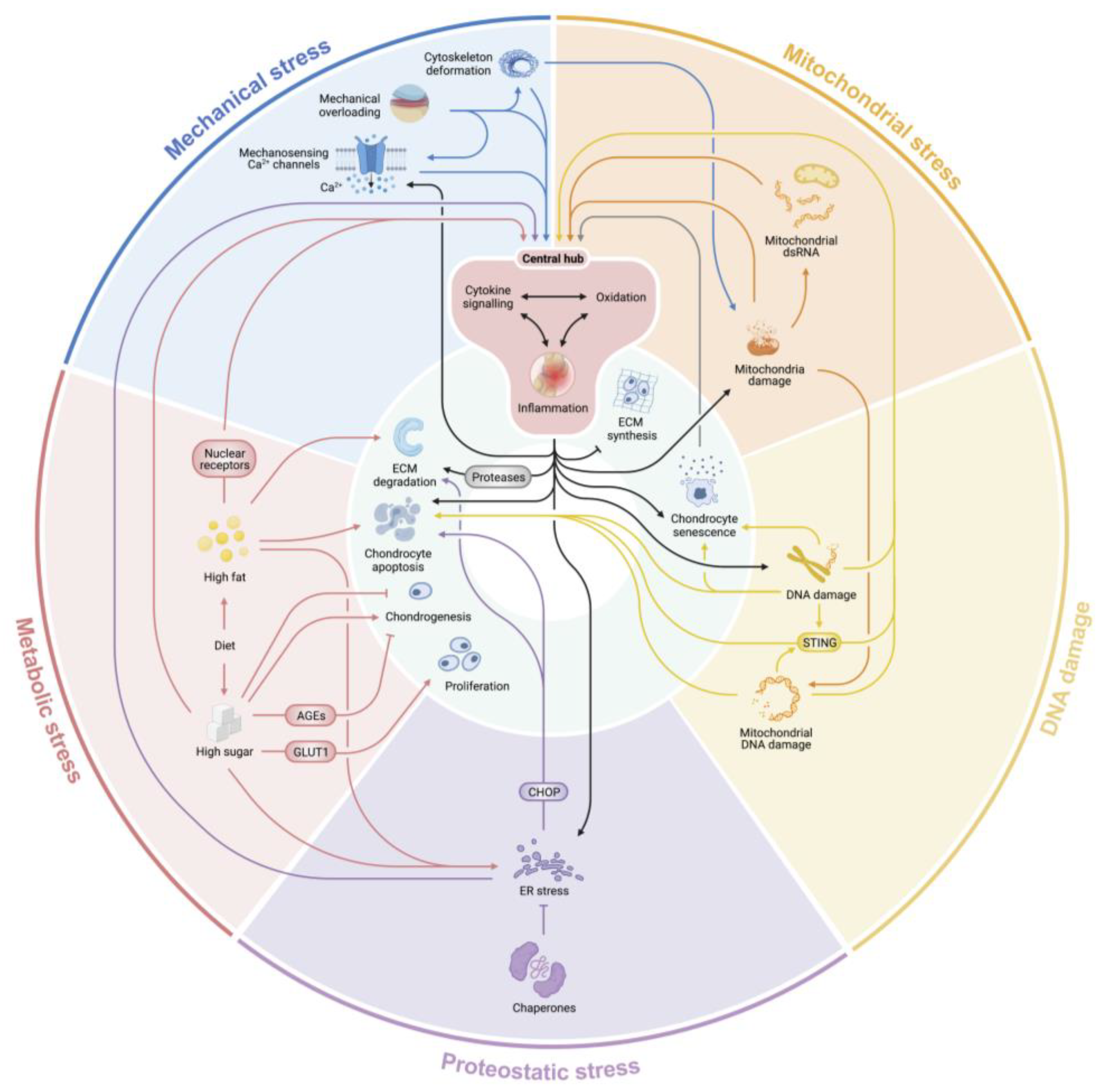 Biomolecules 13 00721 g002