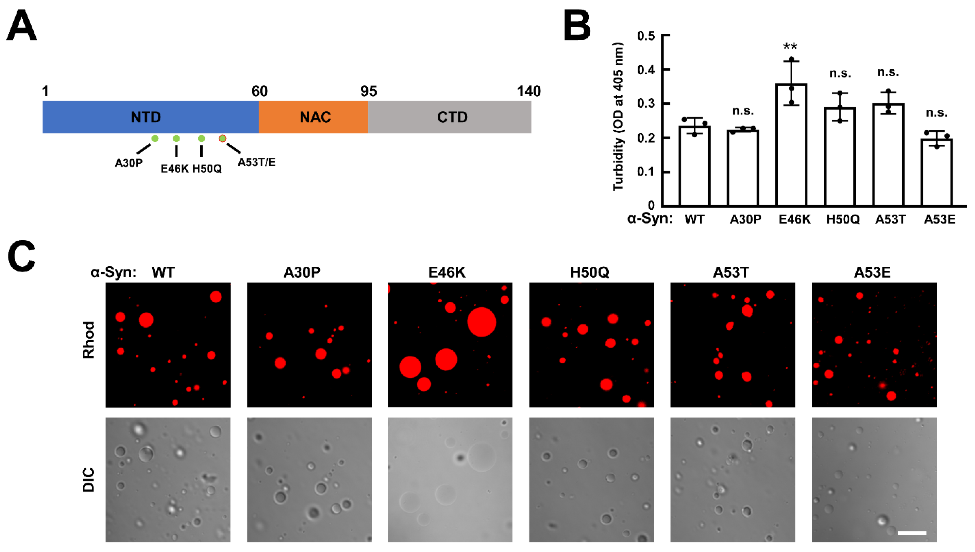 Biomolecules 13 00726 g001