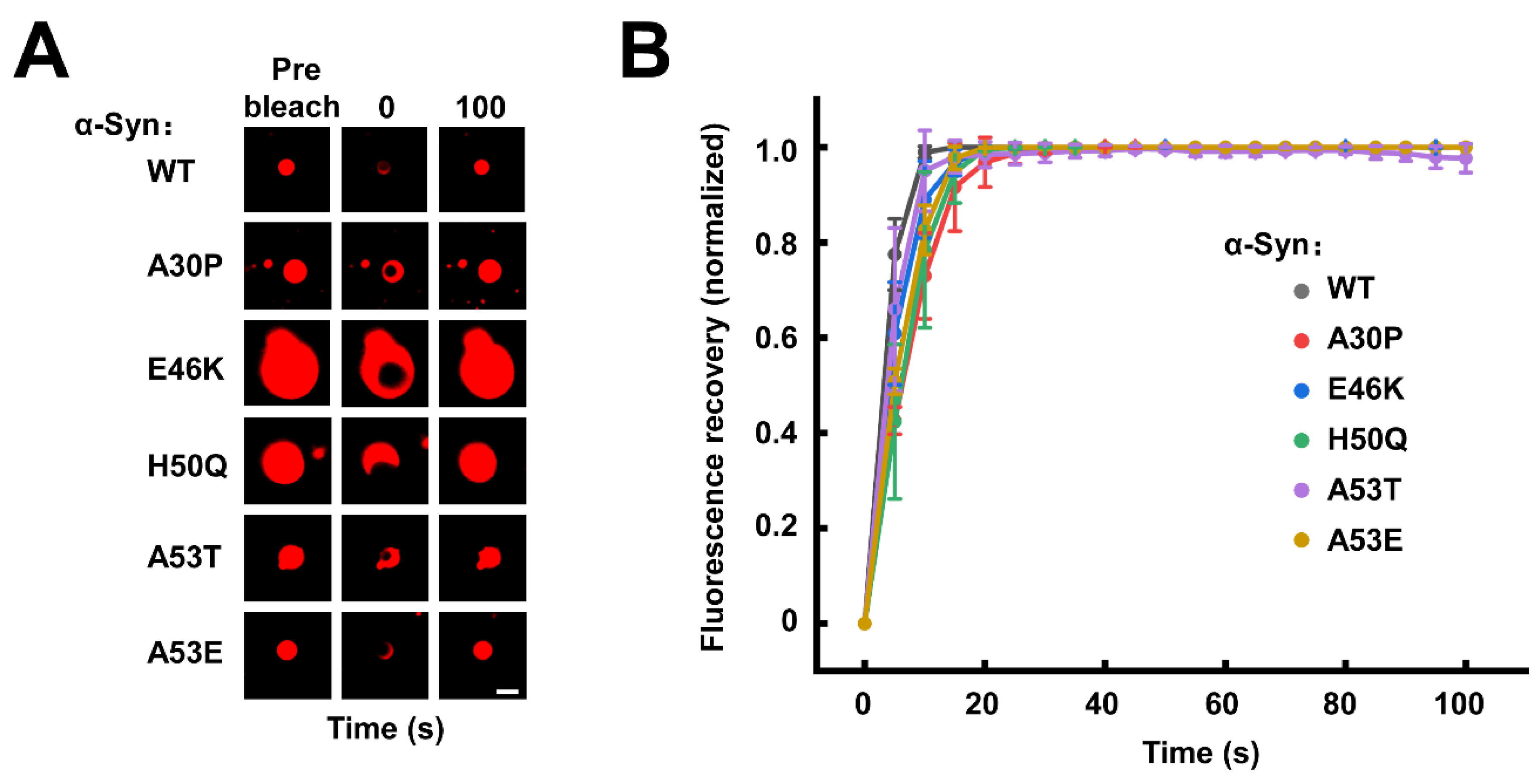 Biomolecules 13 00726 g002