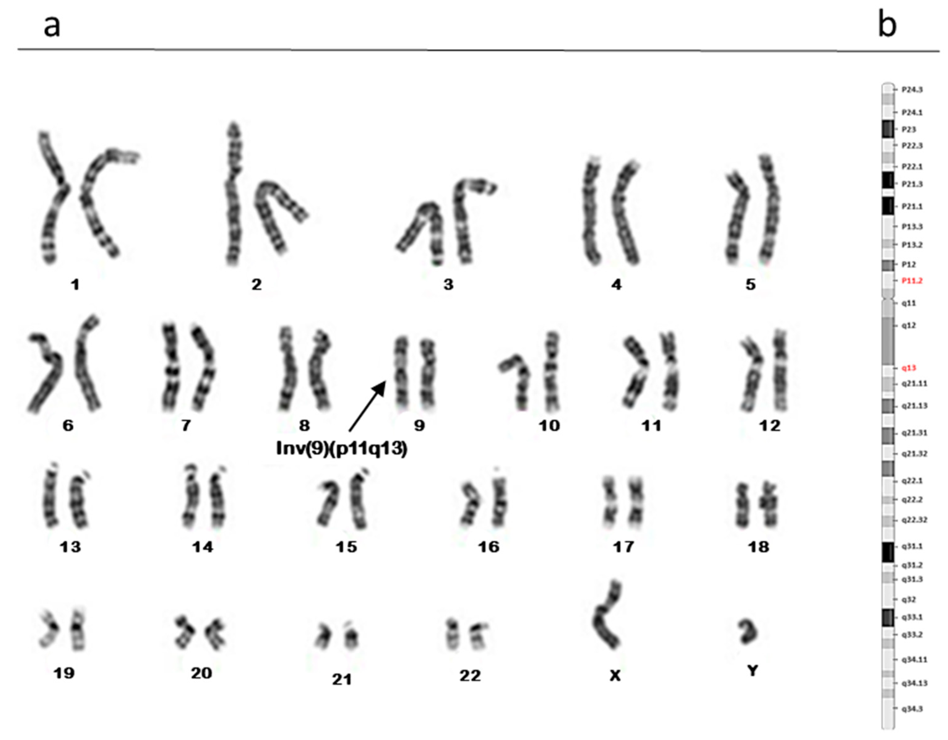 Biomolecules 13 00729 g002