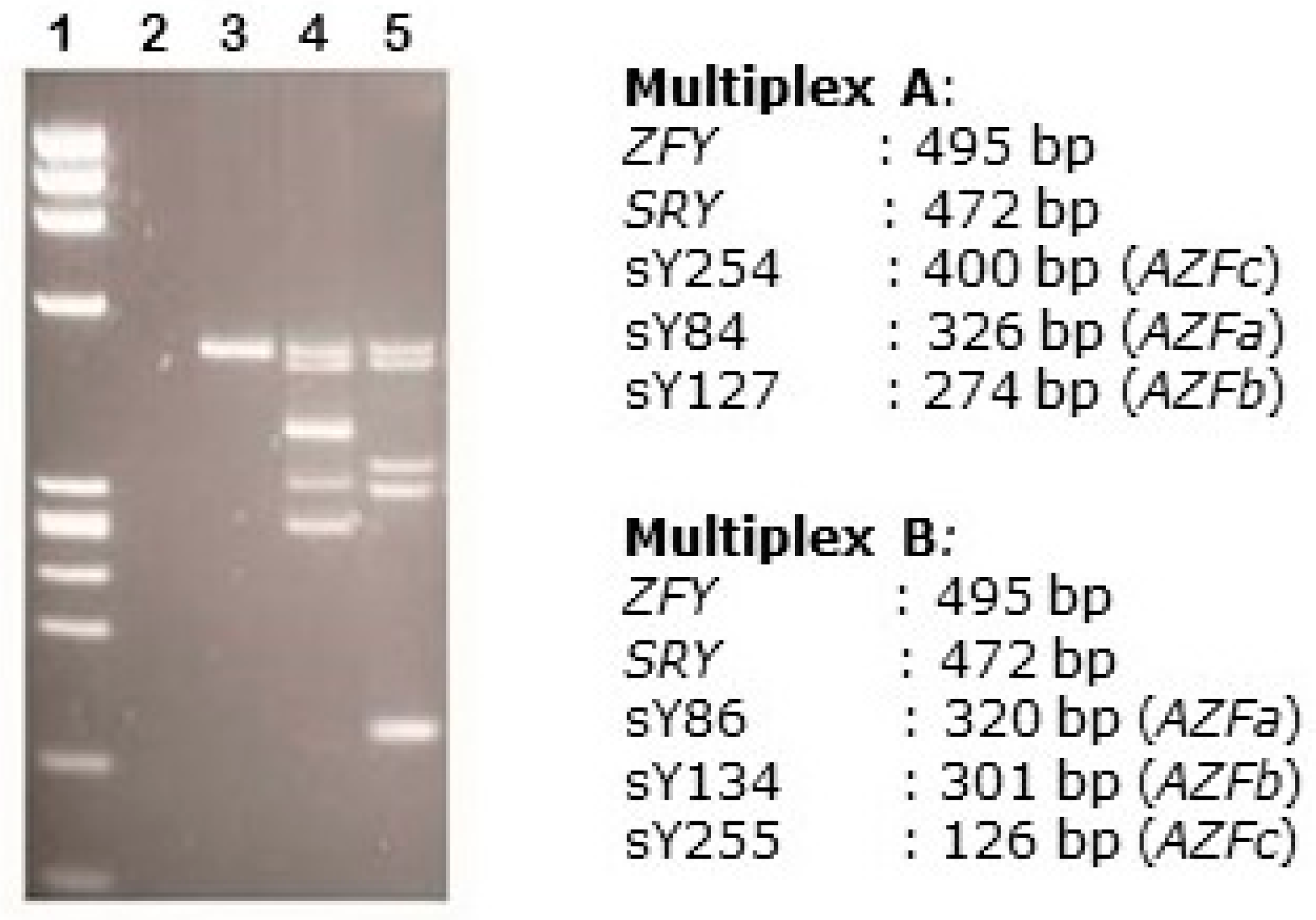 Biomolecules 13 00729 g004