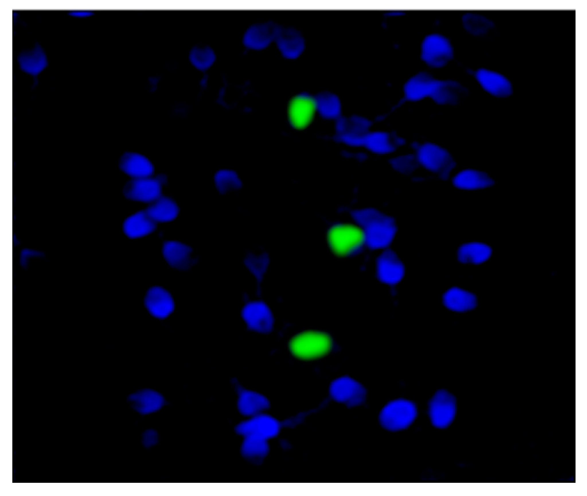 Biomolecules 13 00729 g006