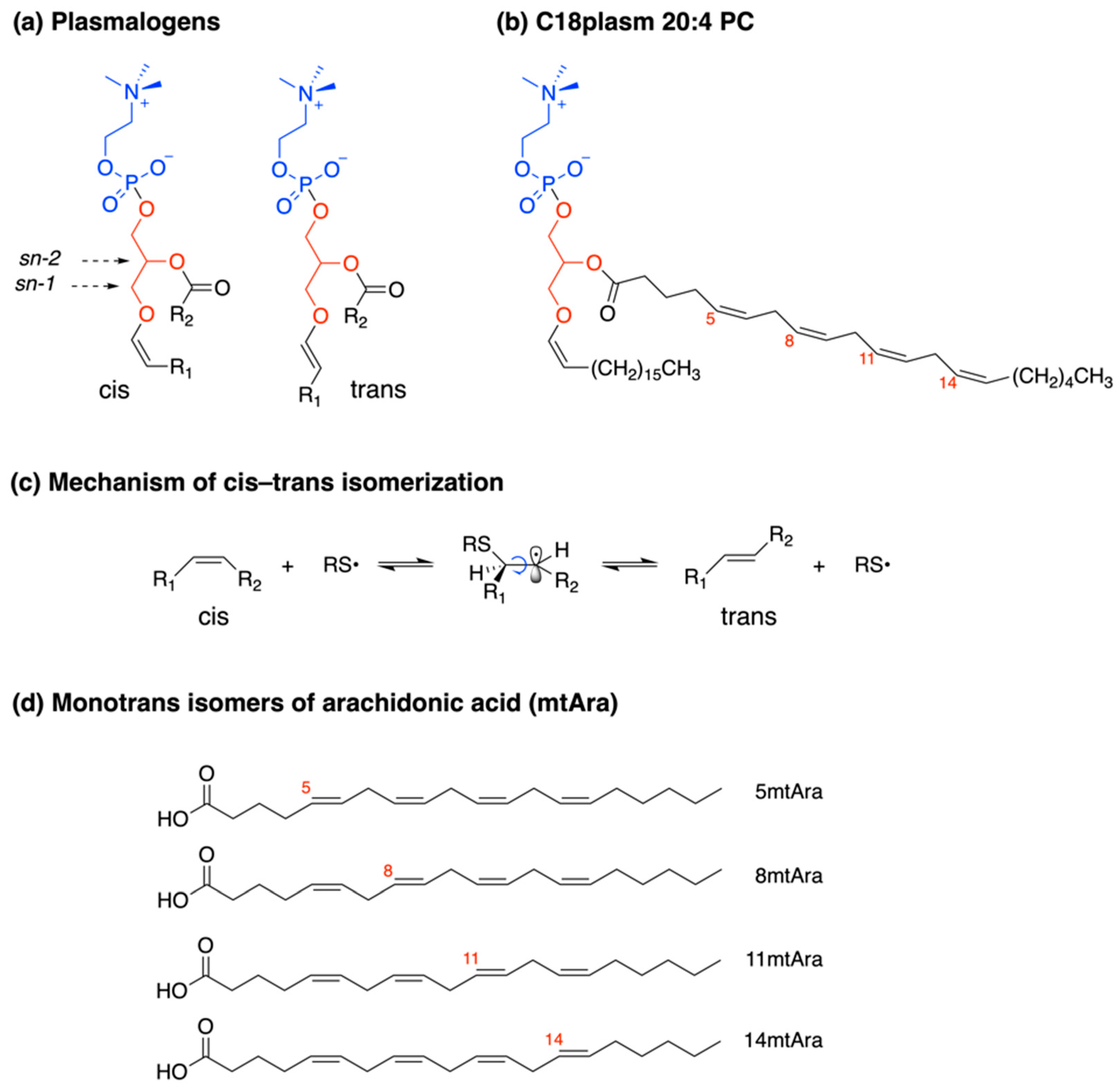 Biomolecules 13 00730 g001