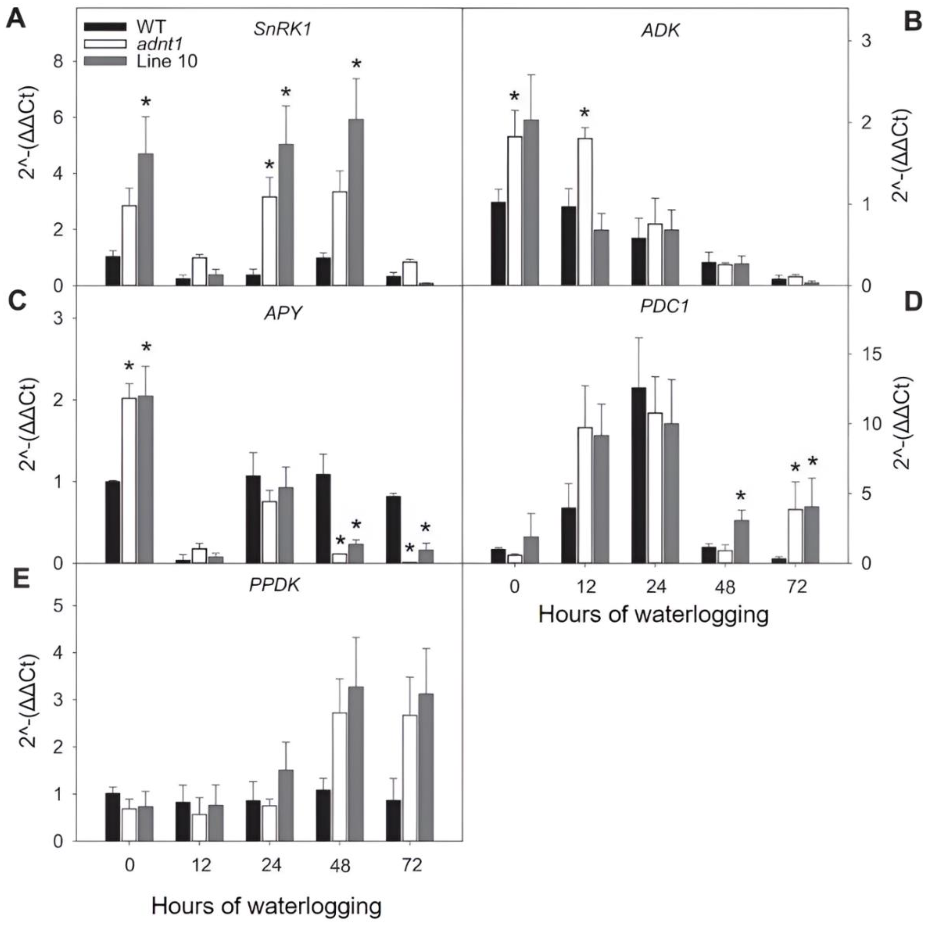 Biomolecules 13 00731 g007