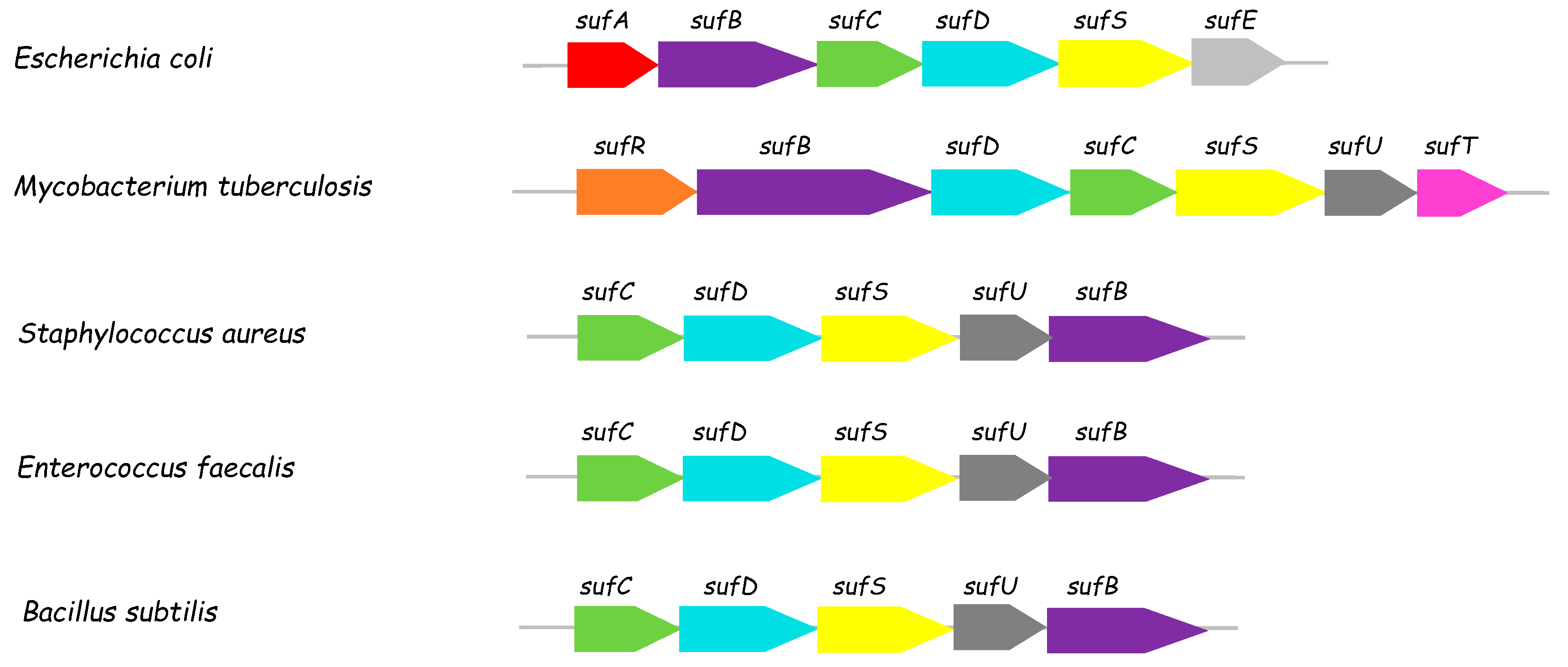 Biomolecules 13 00732 g001