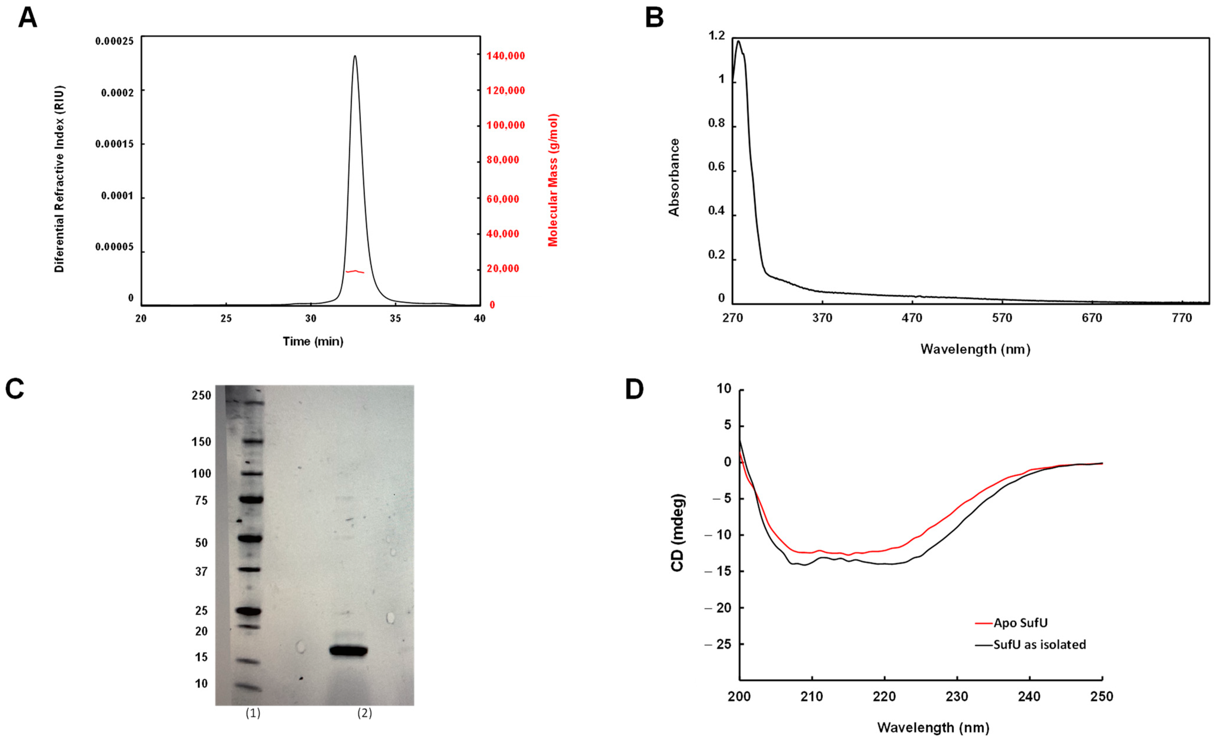 Biomolecules 13 00732 g004