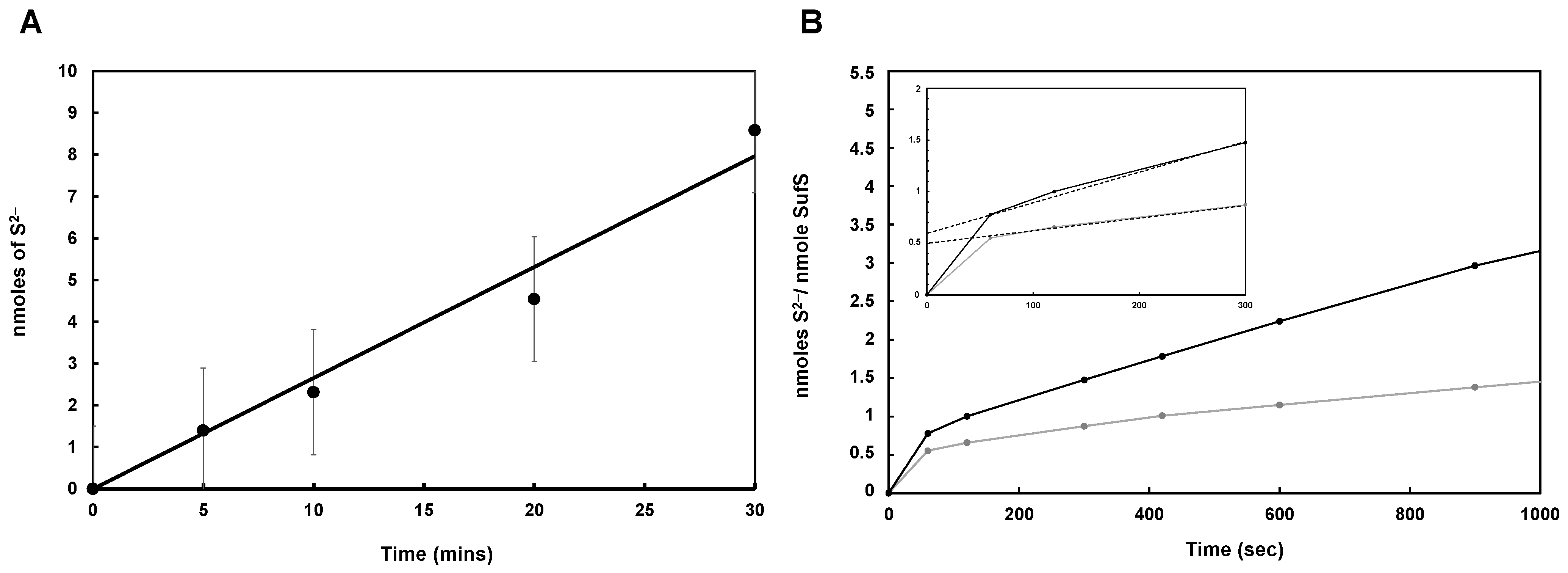 Biomolecules 13 00732 g006