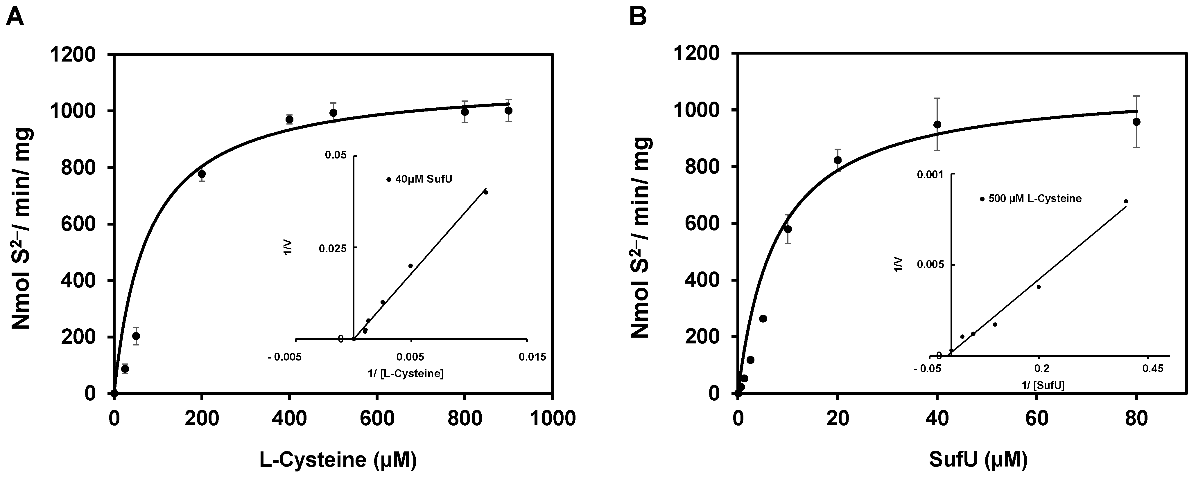 Biomolecules 13 00732 g008