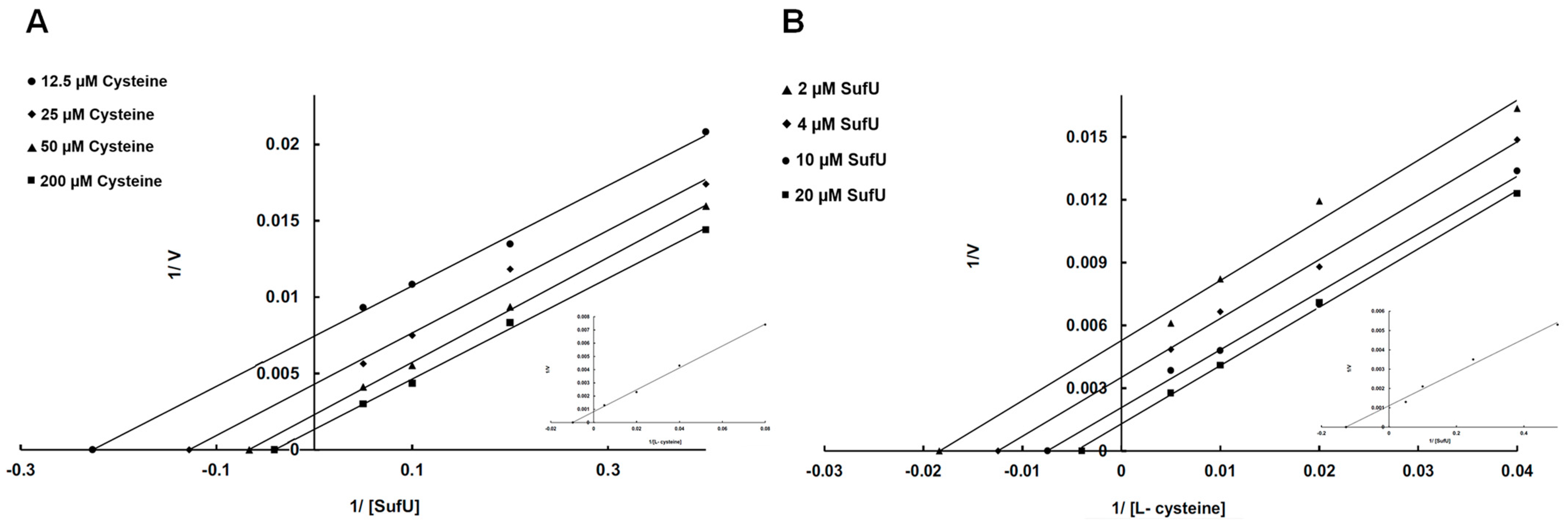 Biomolecules 13 00732 g009