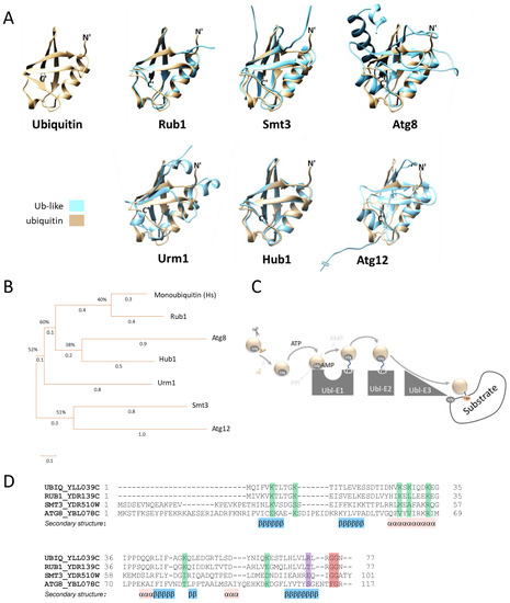 Biomolecules 13 00734 g001
