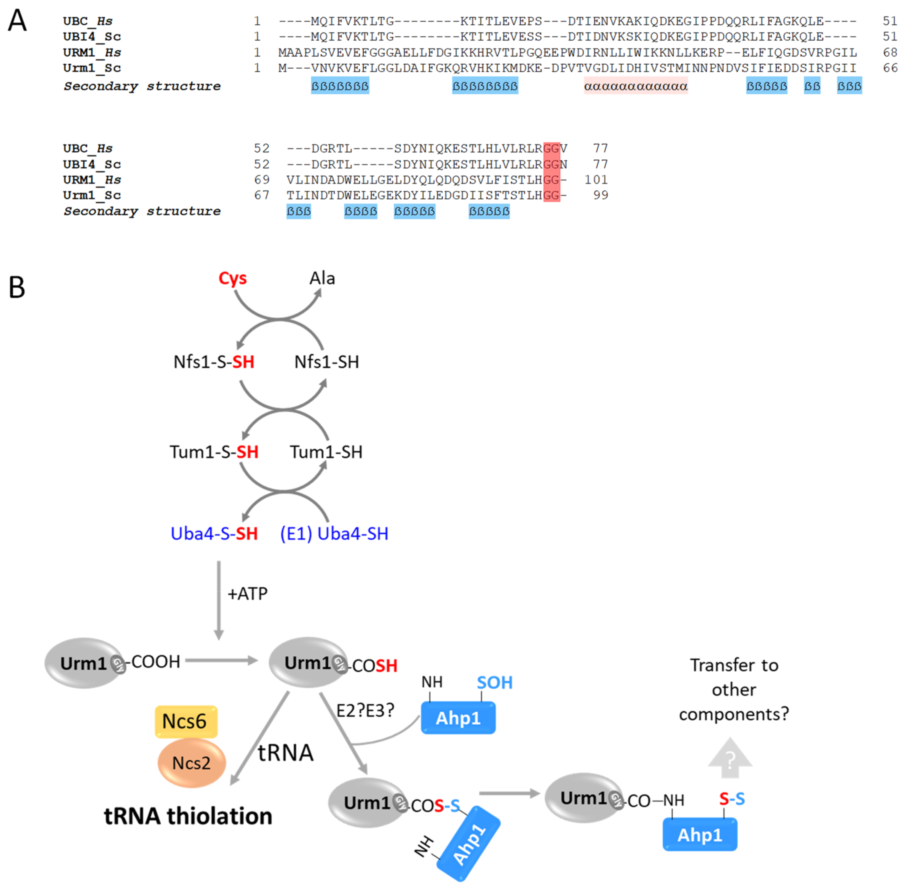 Biomolecules 13 00734 g005