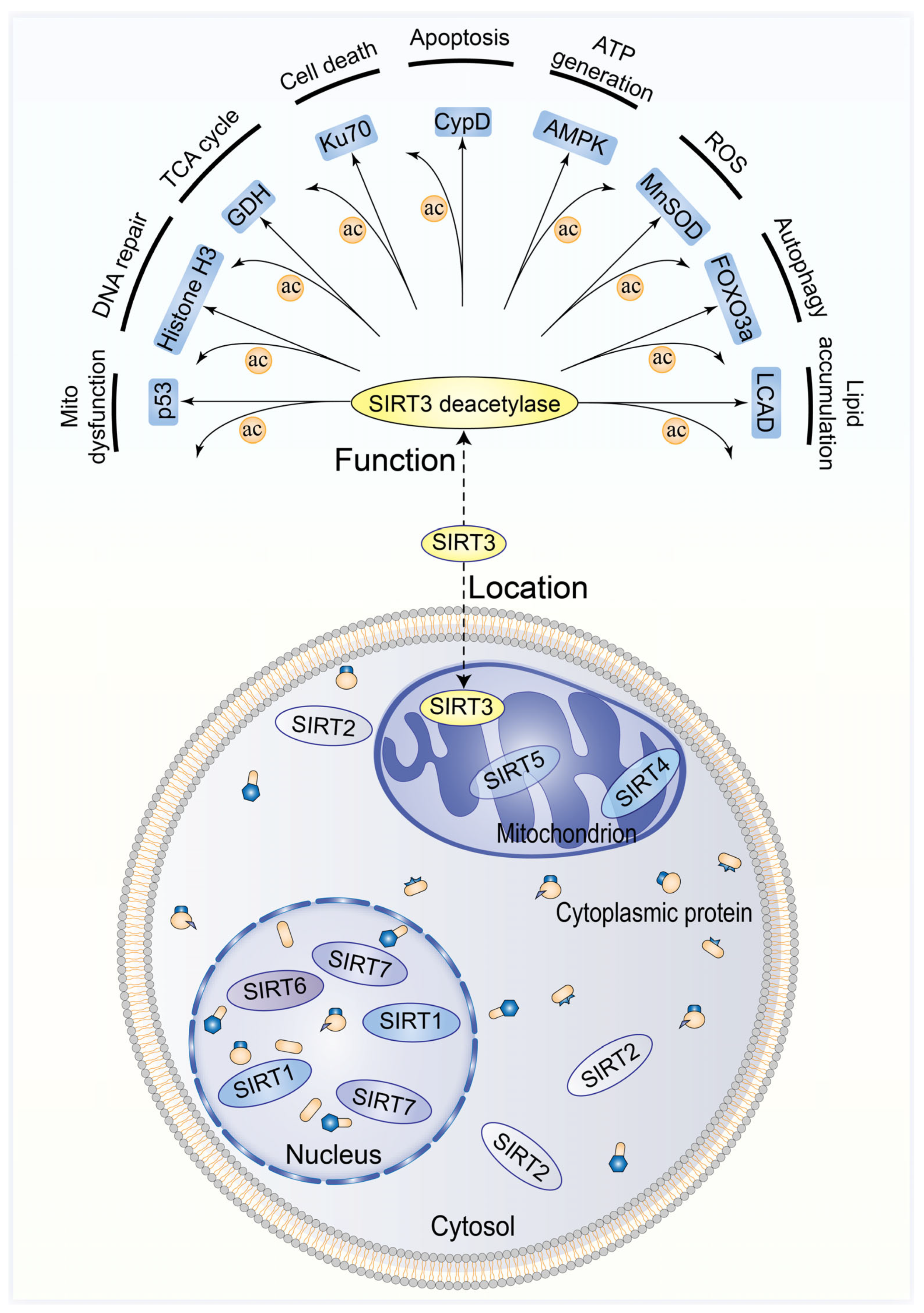 Biomolecules 13 00735 g001
