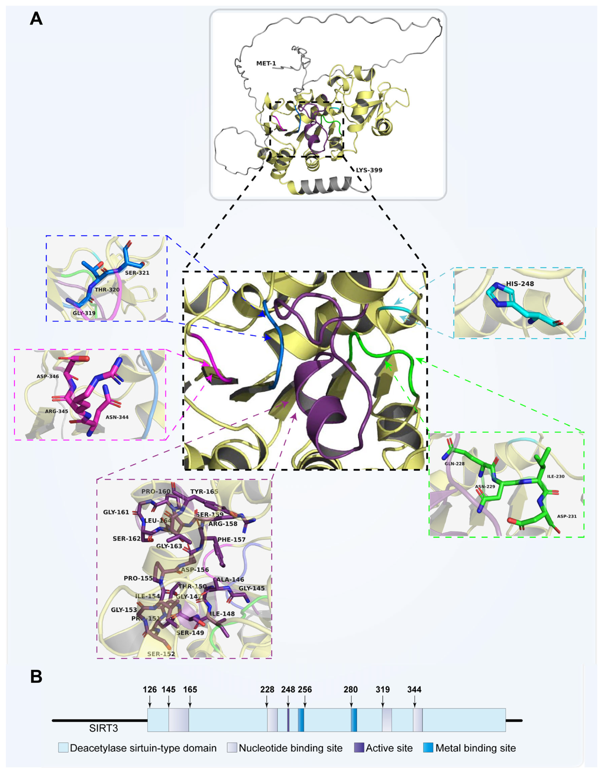 Biomolecules 13 00735 g002