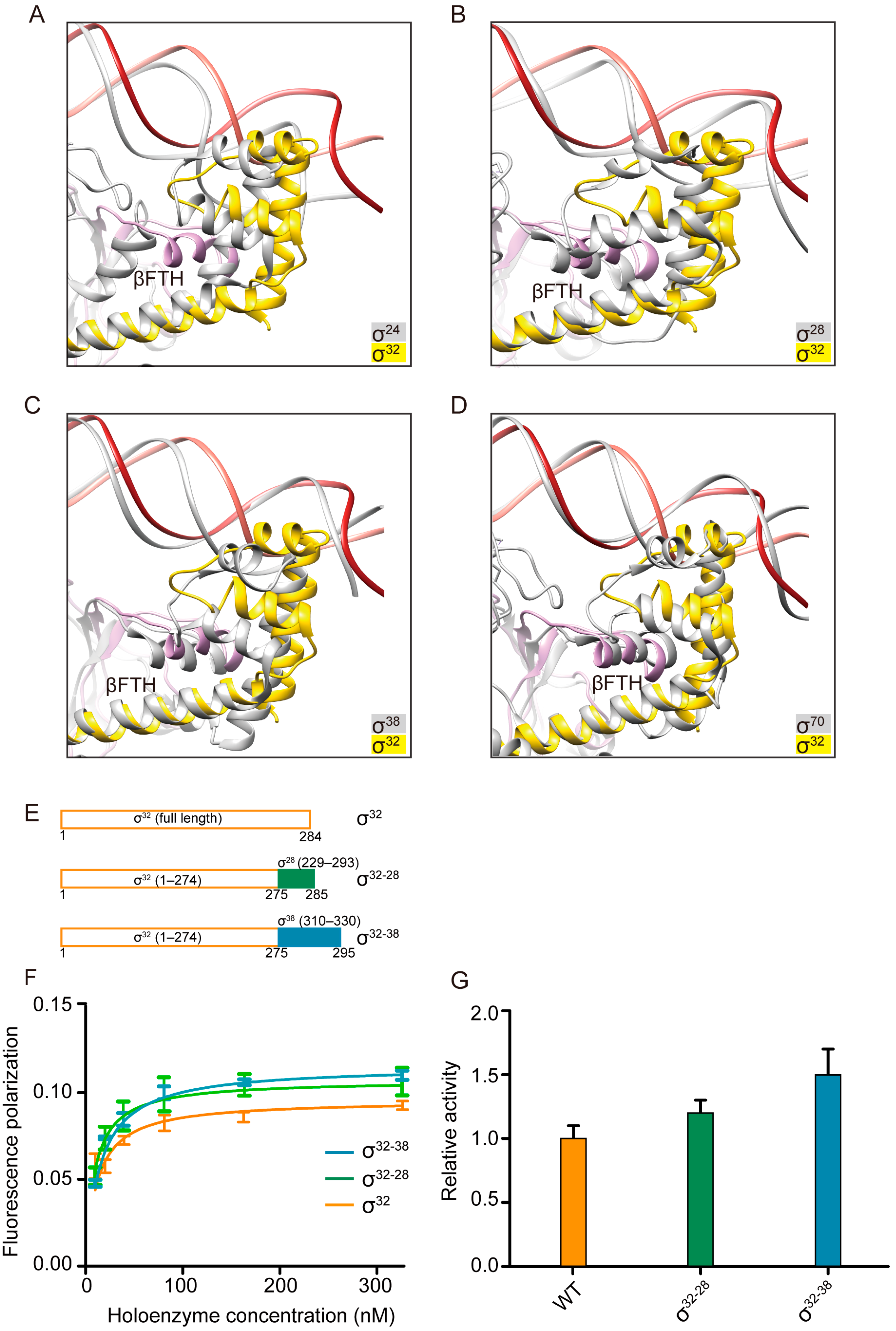 Biomolecules 13 00738 g003