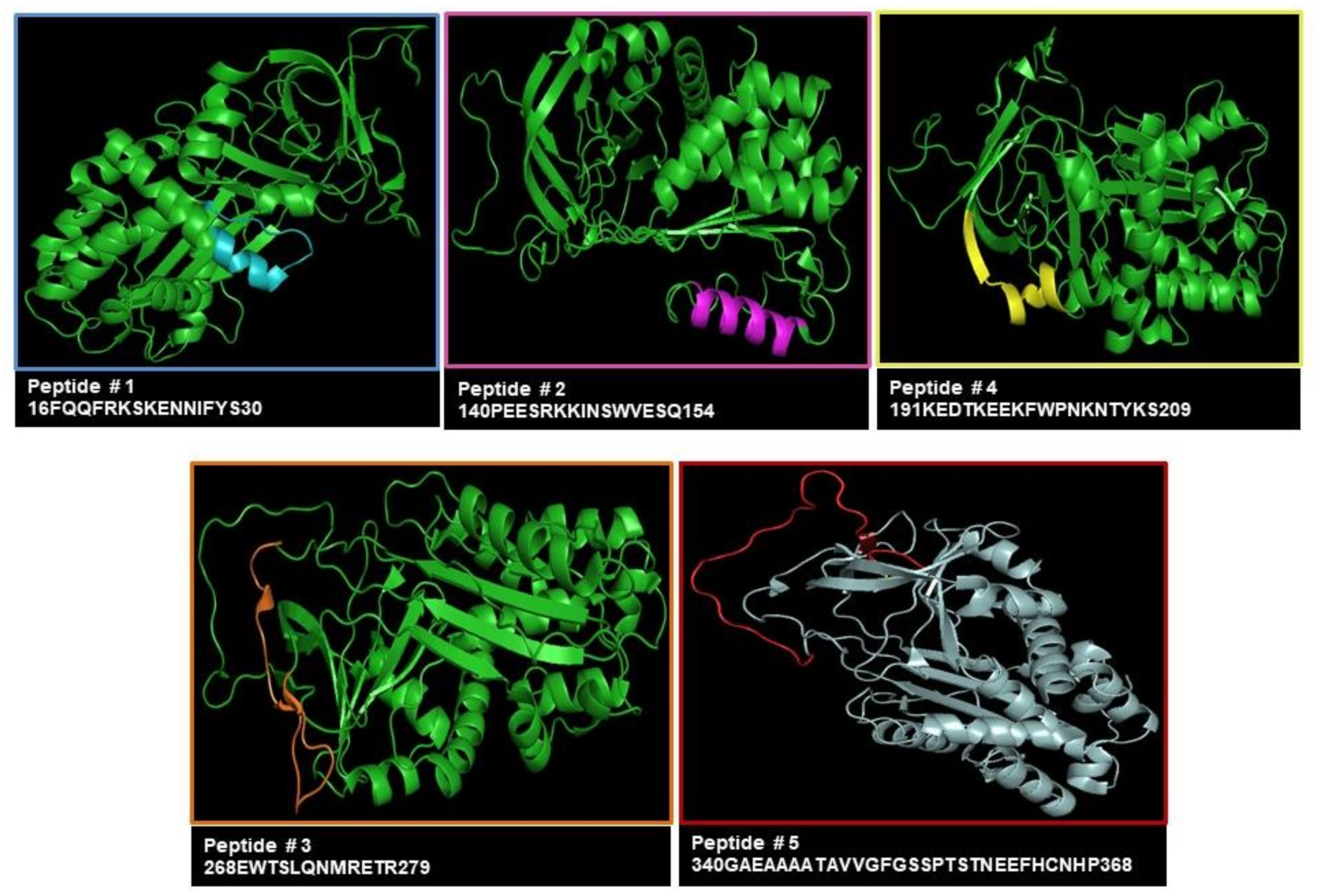 Biomolecules 13 00739 g001