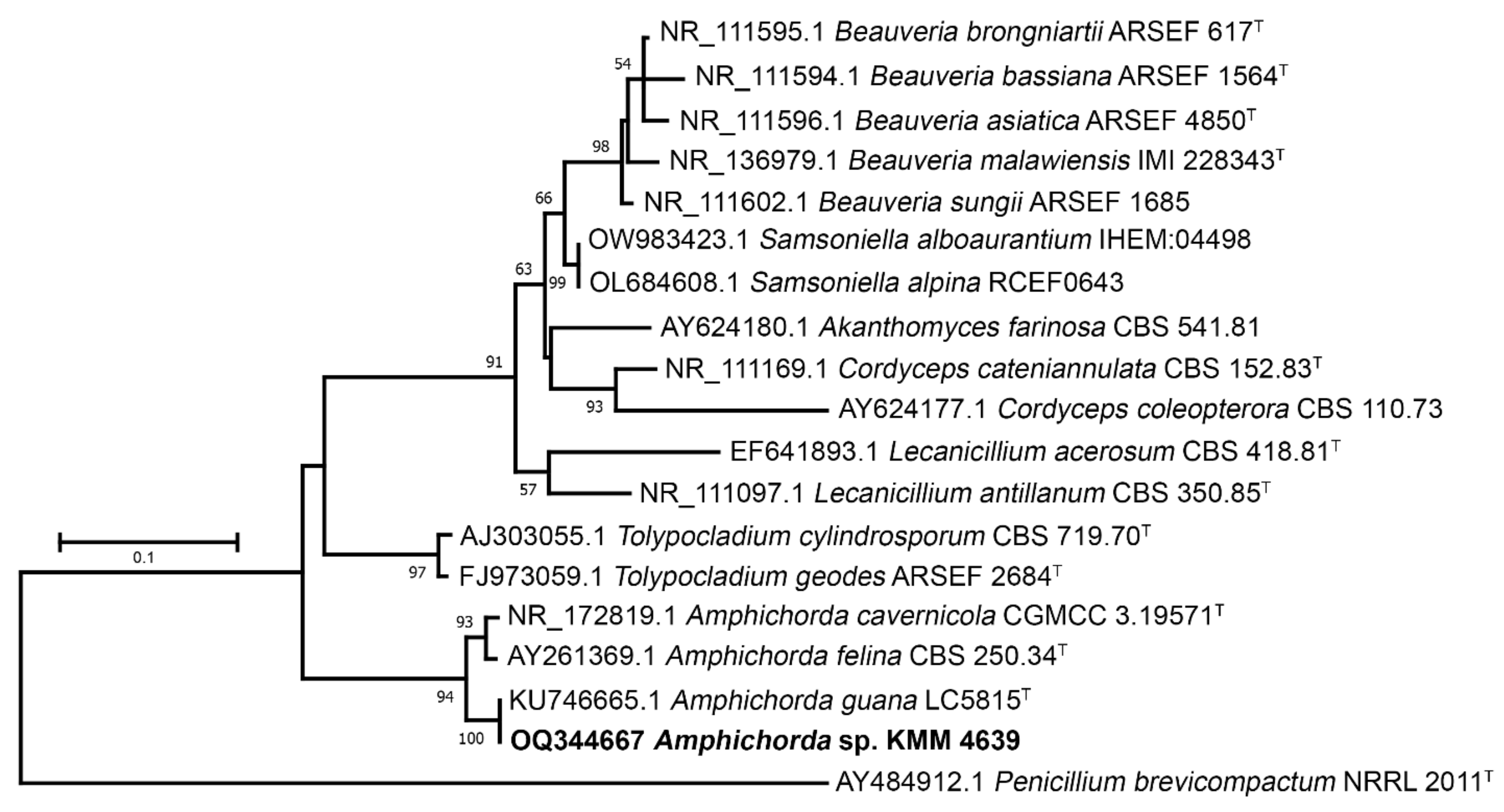 Biomolecules 13 00741 g002