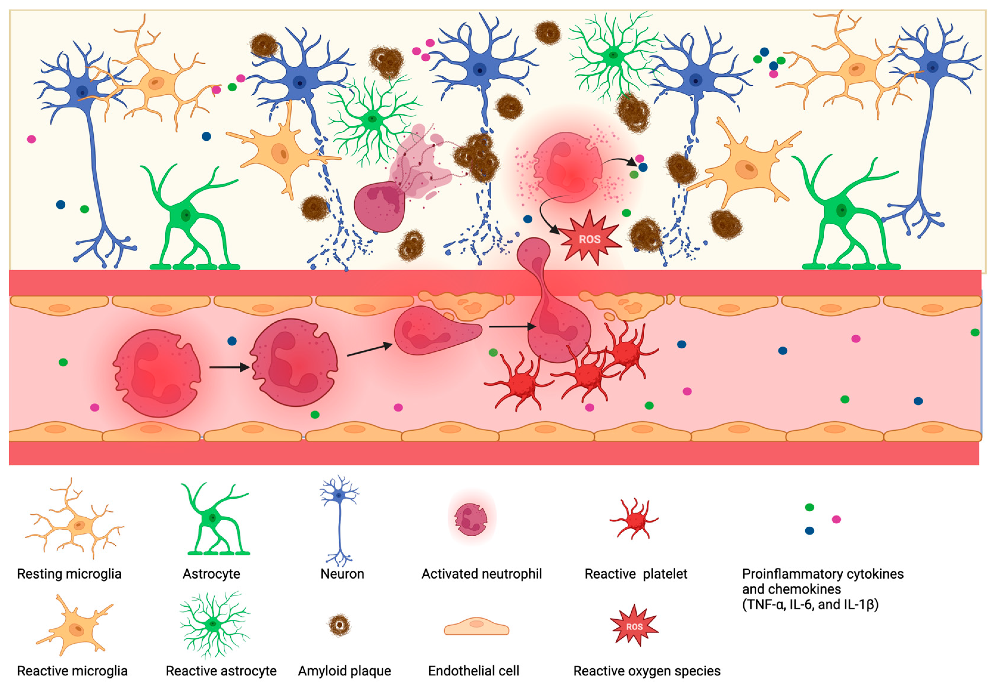 Biomolecules 13 00743 g003