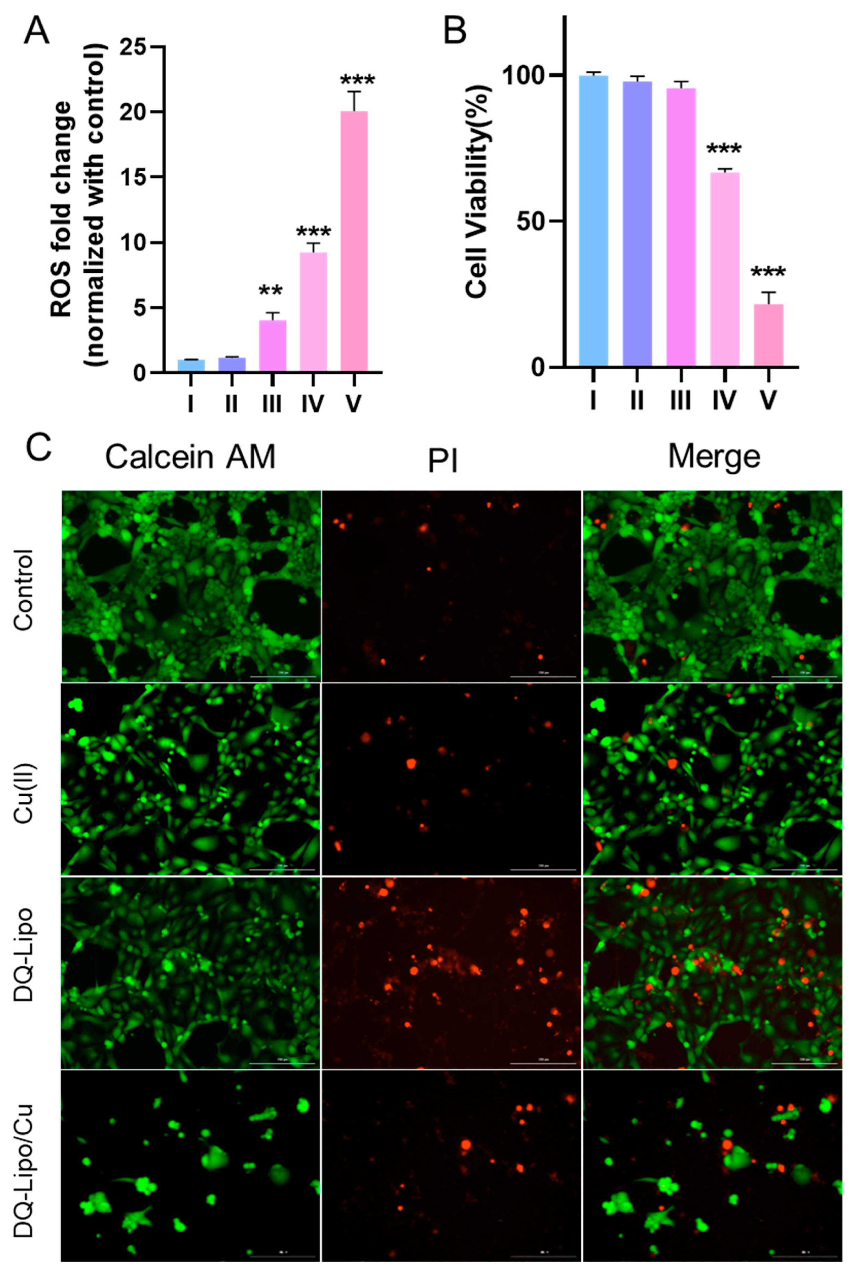 Biomolecules 13 00744 g005