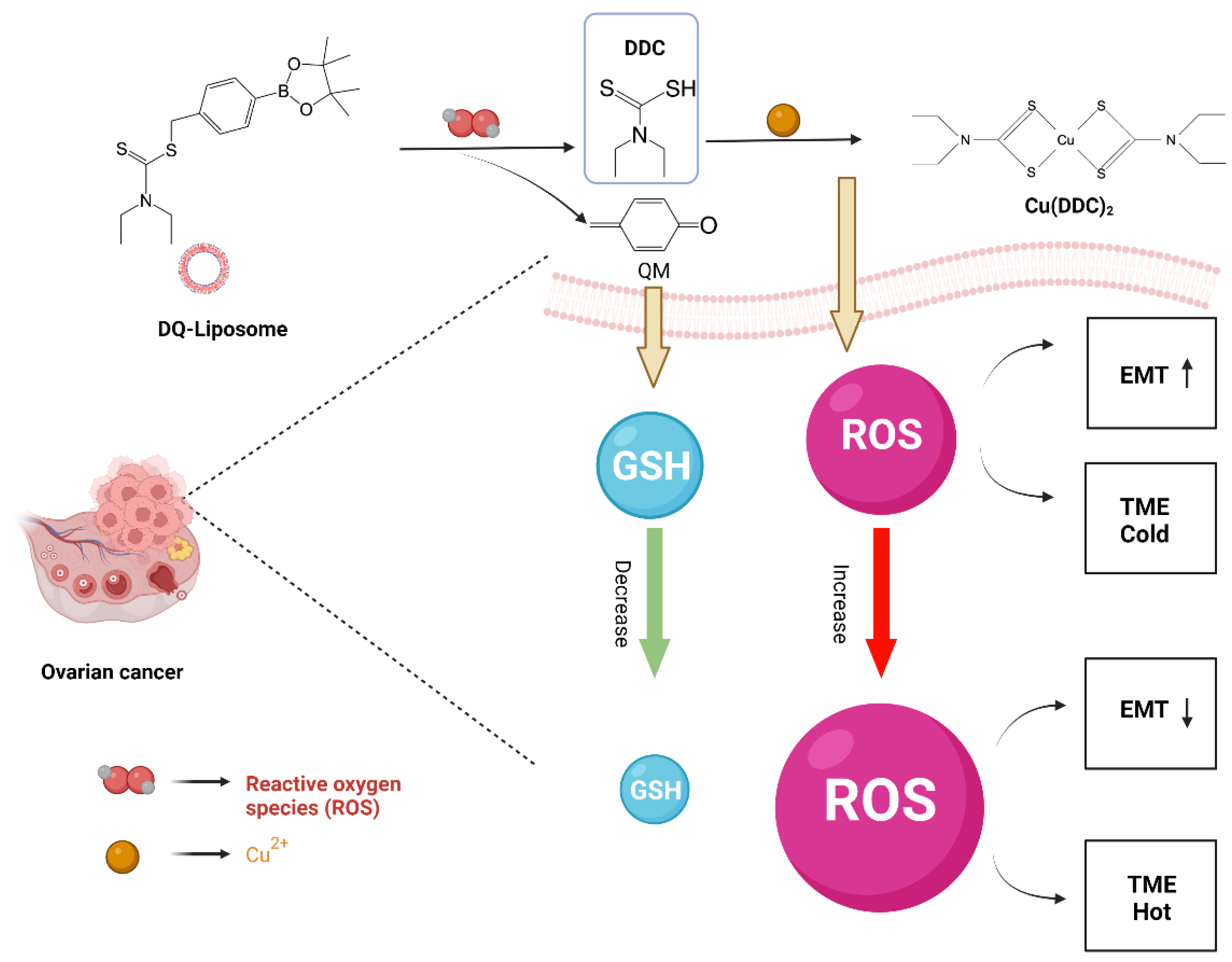 Biomolecules 13 00744 sch001