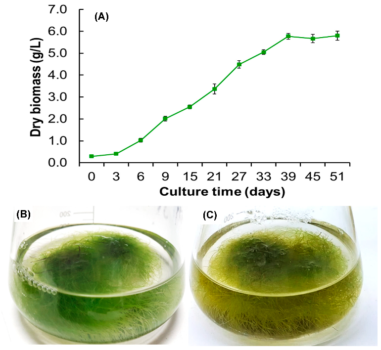 Biomolecules 13 00746 g003