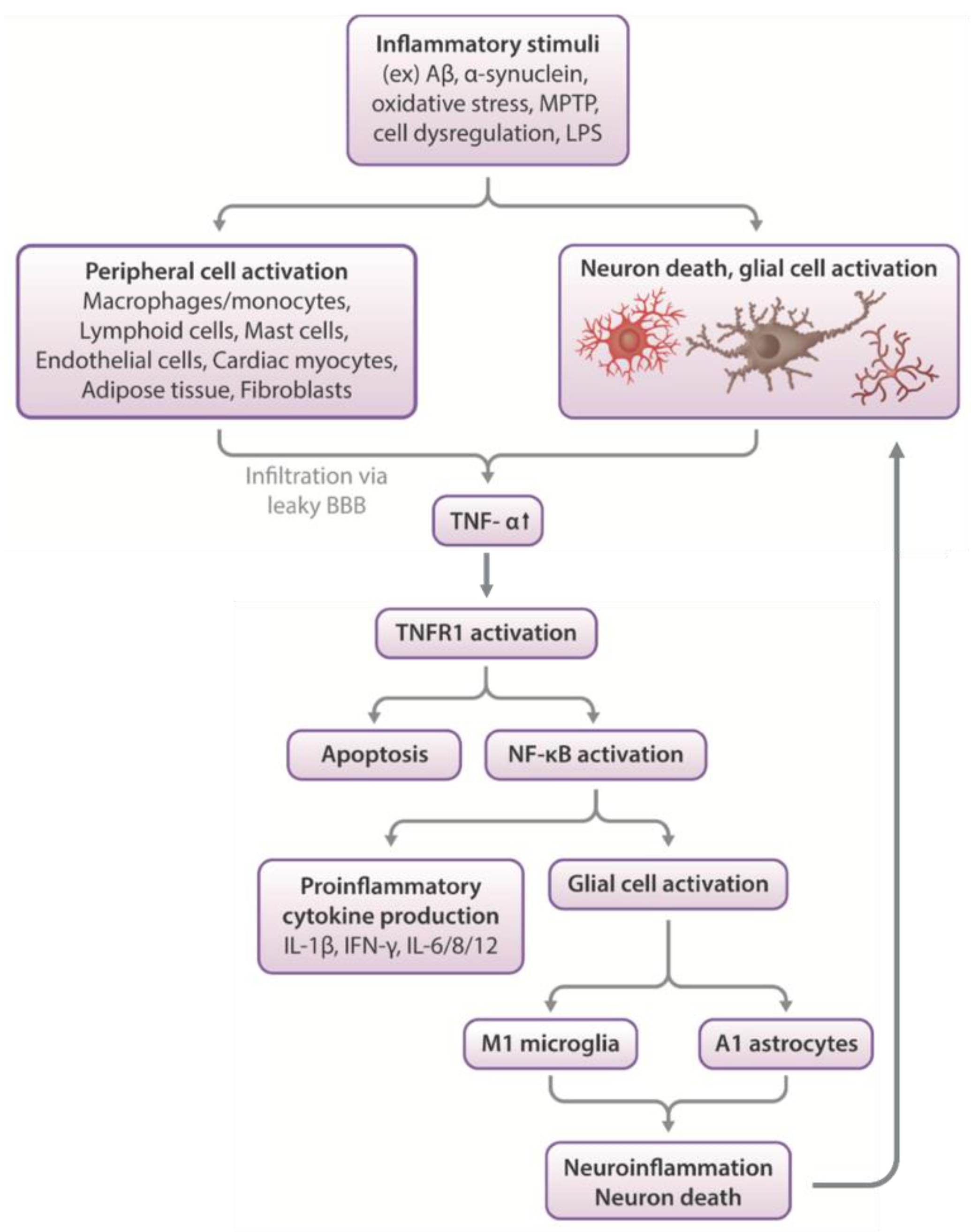 Biomolecules 13 00747 g003