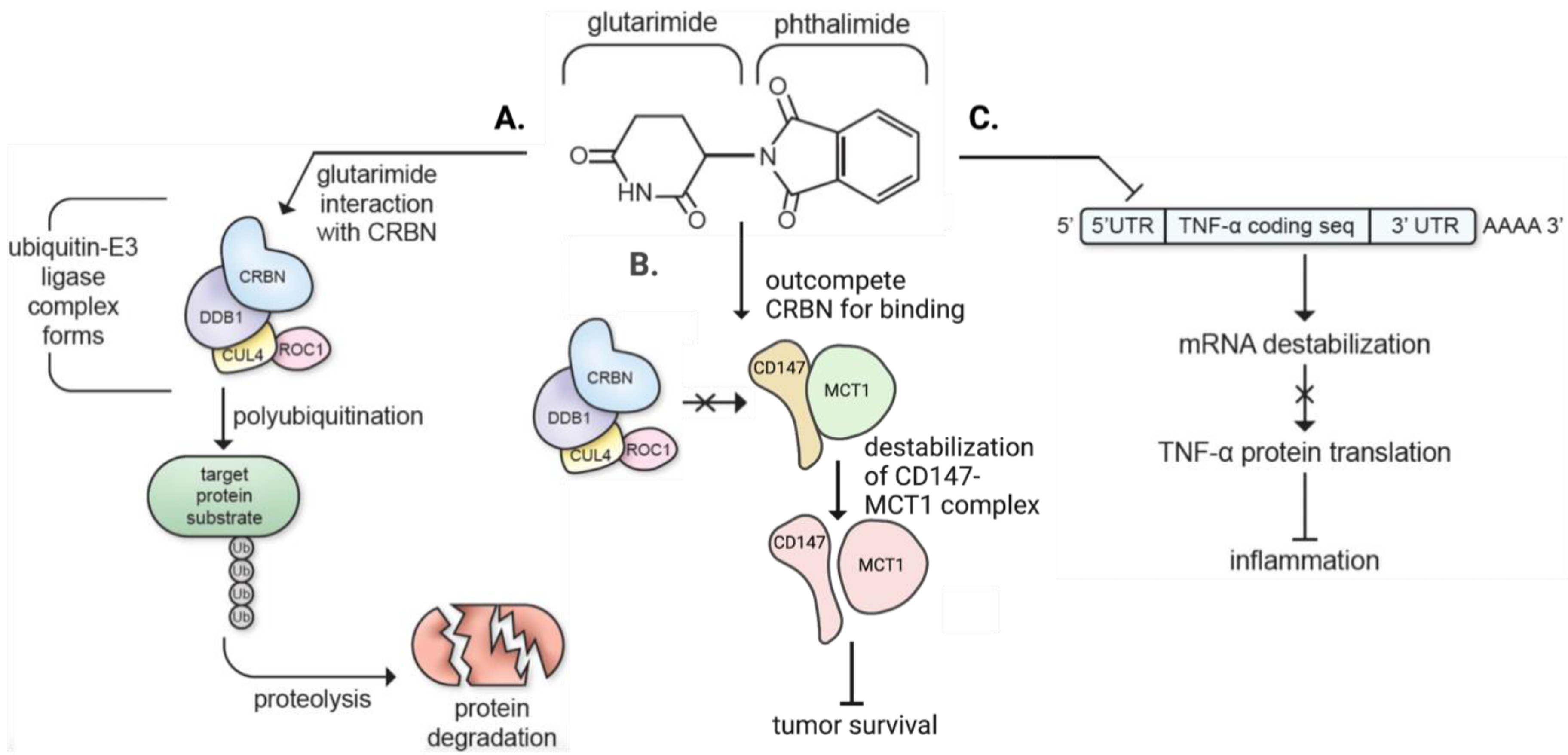 Biomolecules 13 00747 g004