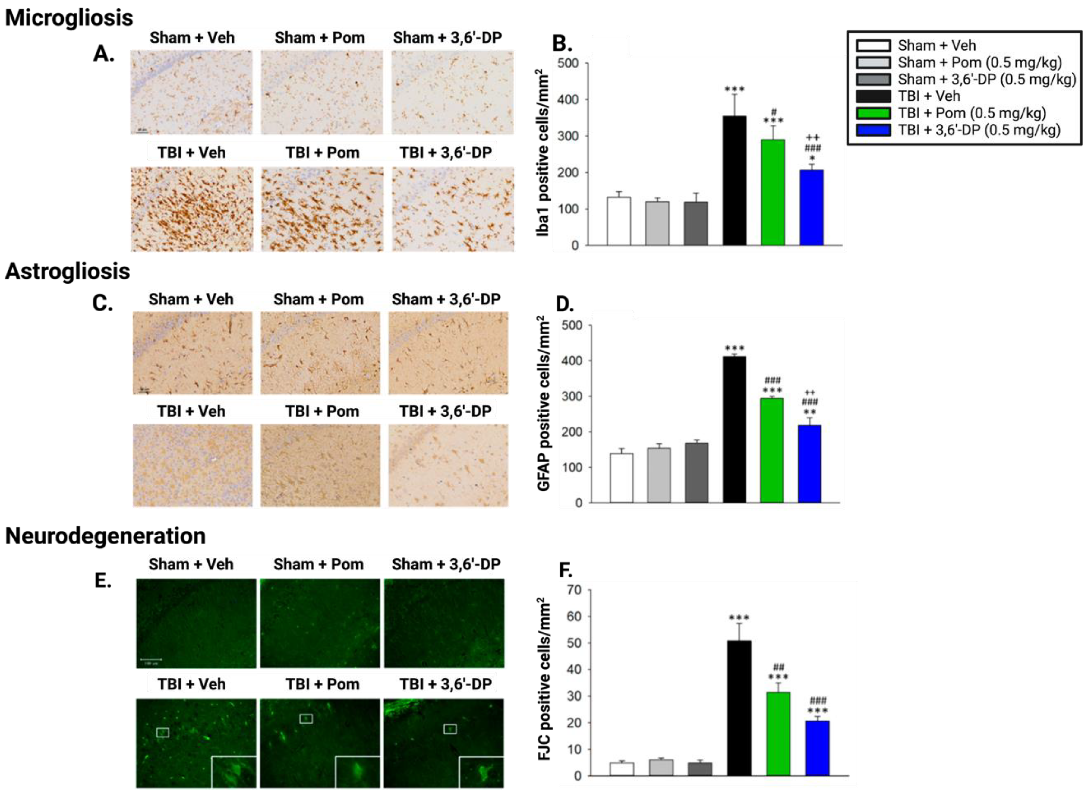 Biomolecules 13 00747 g009
