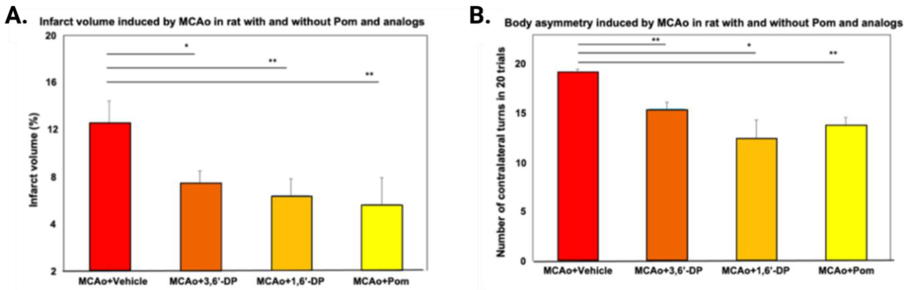Biomolecules 13 00747 g010
