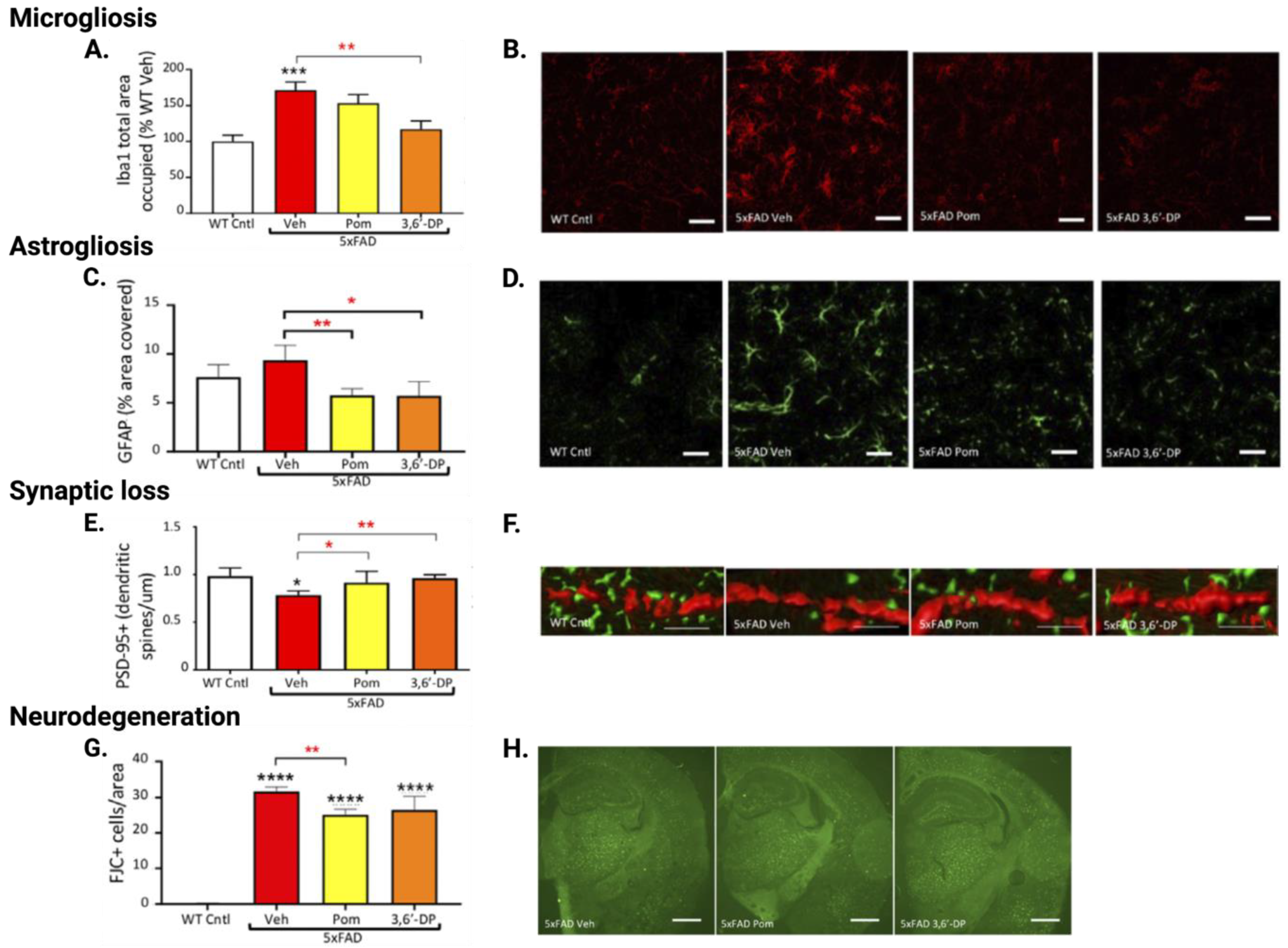 Biomolecules 13 00747 g012