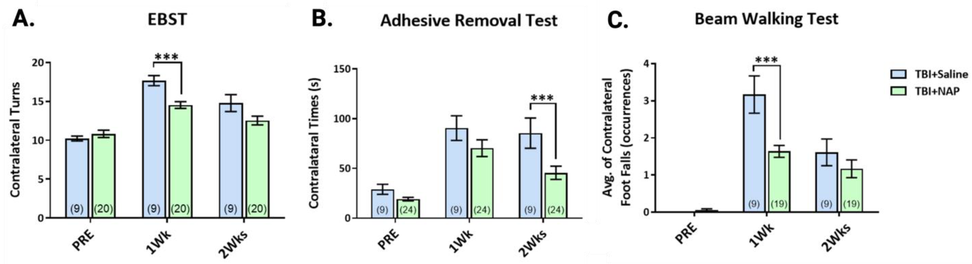 Biomolecules 13 00747 g013