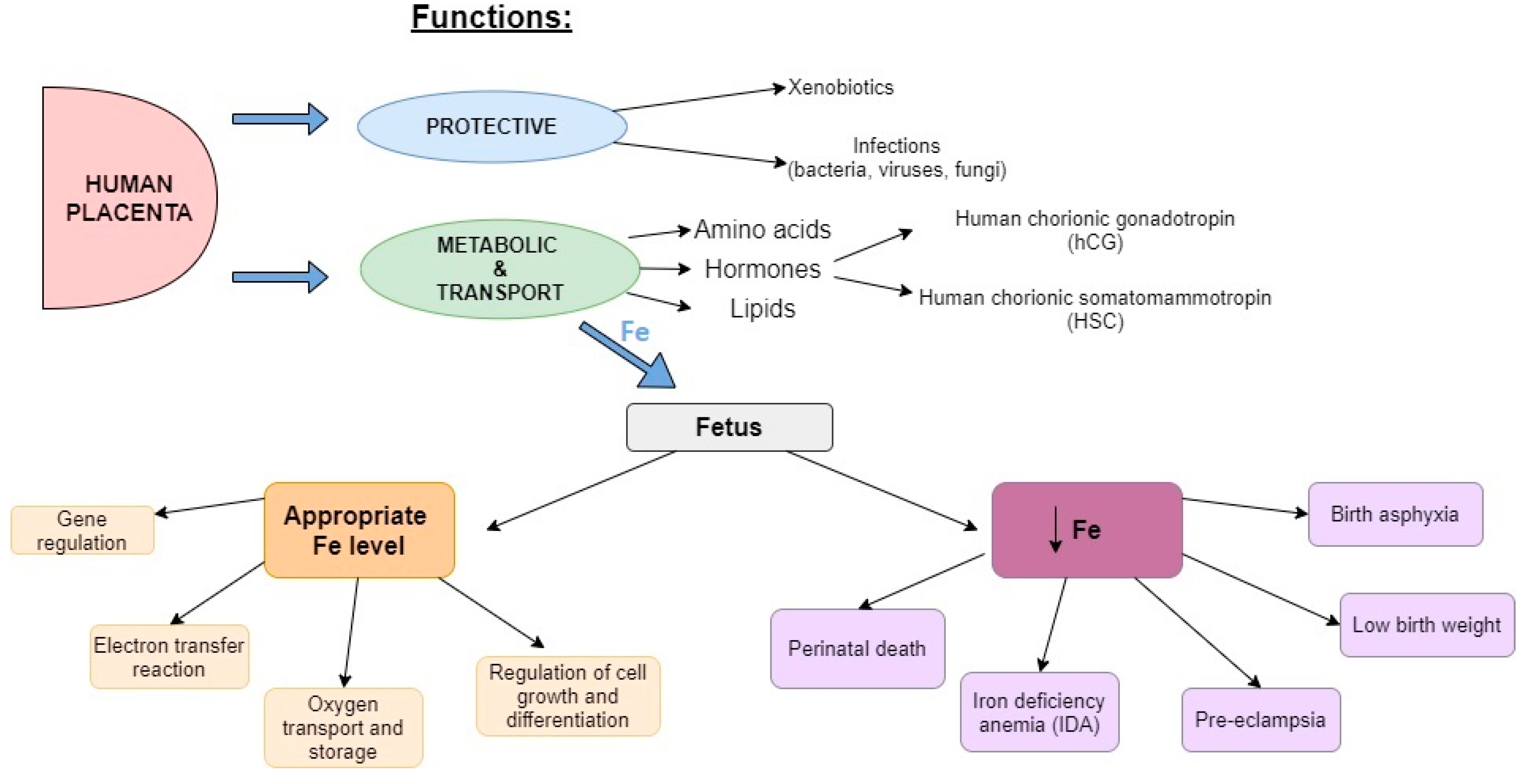 Biomolecules 13 00749 g001 Biomolecules 13 00749 g001
