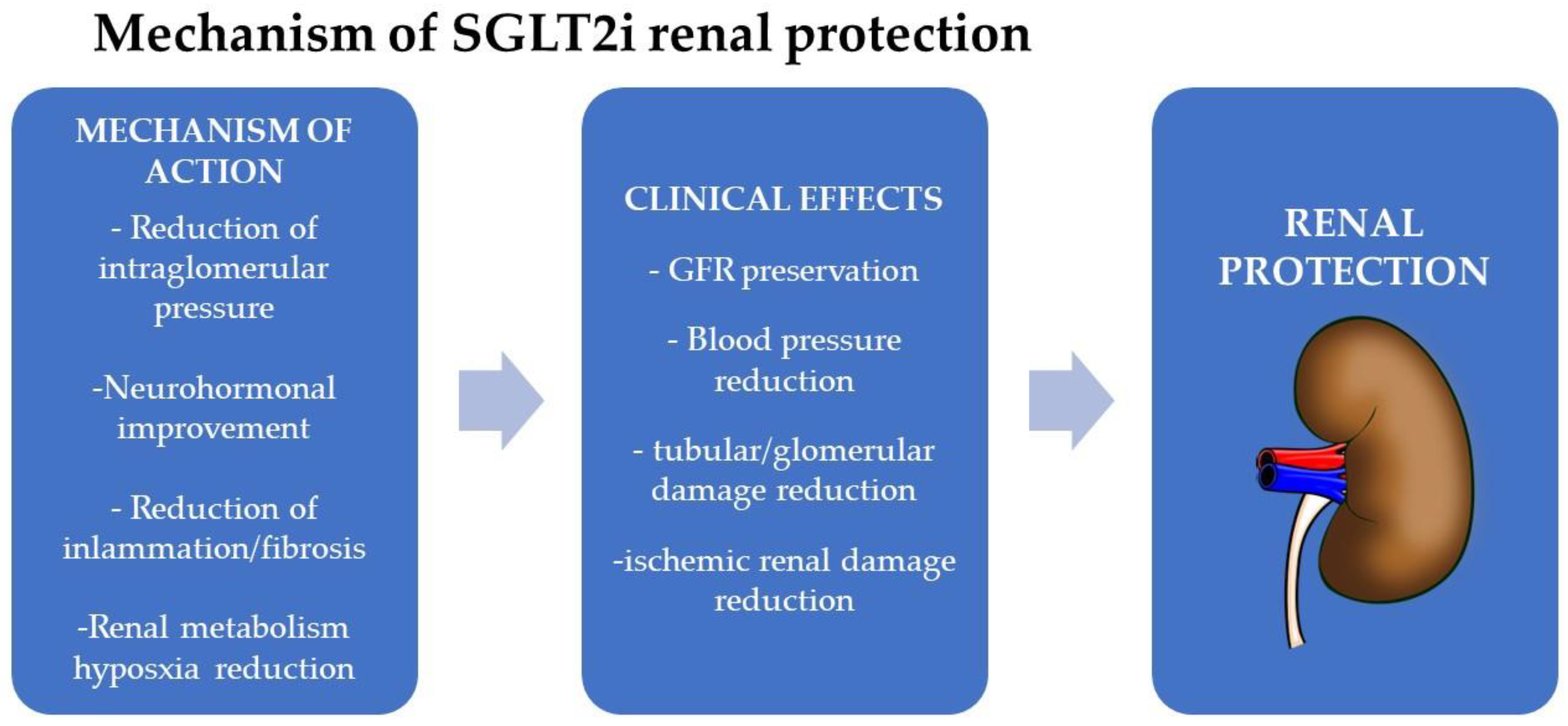 Biomolecules 13 00752 g002 Biomolecules 13 00752 g002