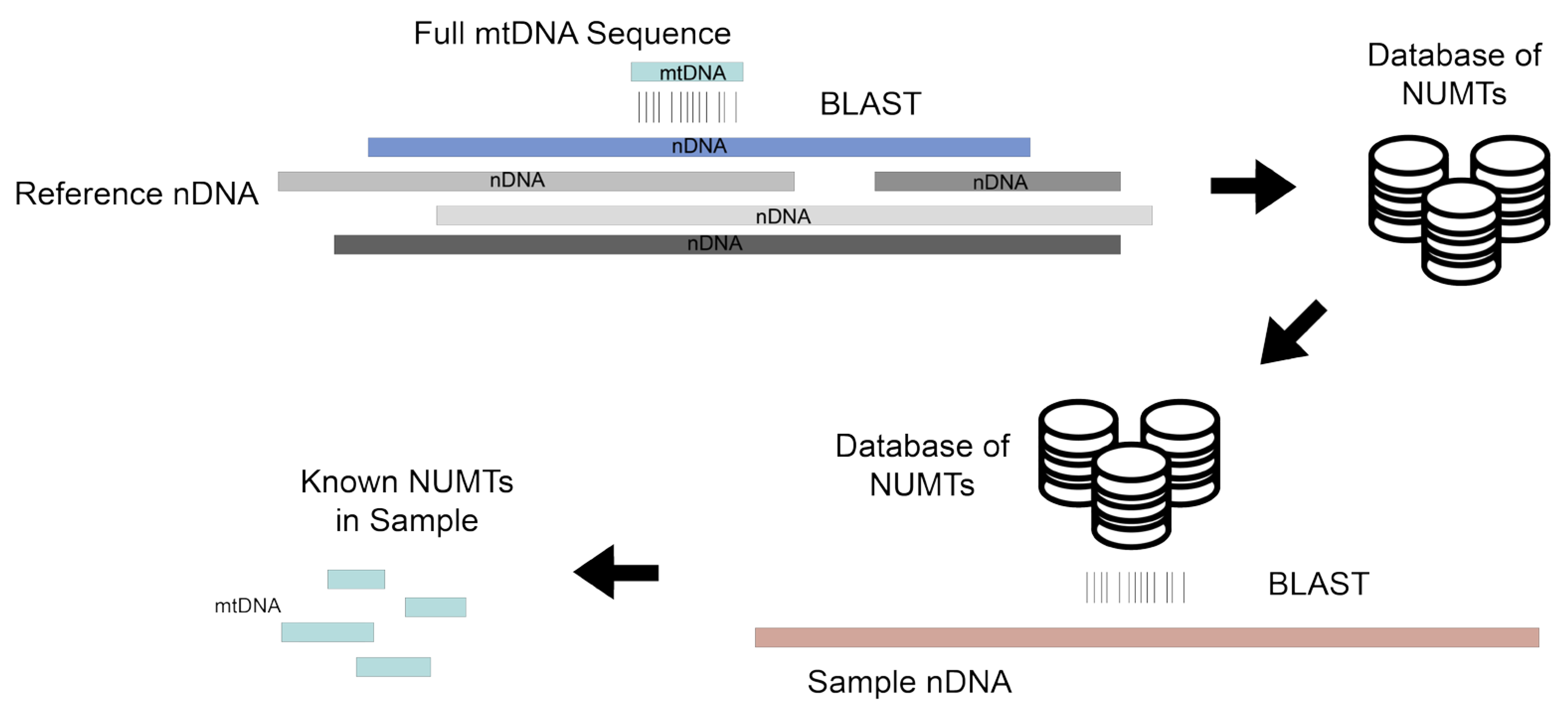 Biomolecules 13 00753 g002