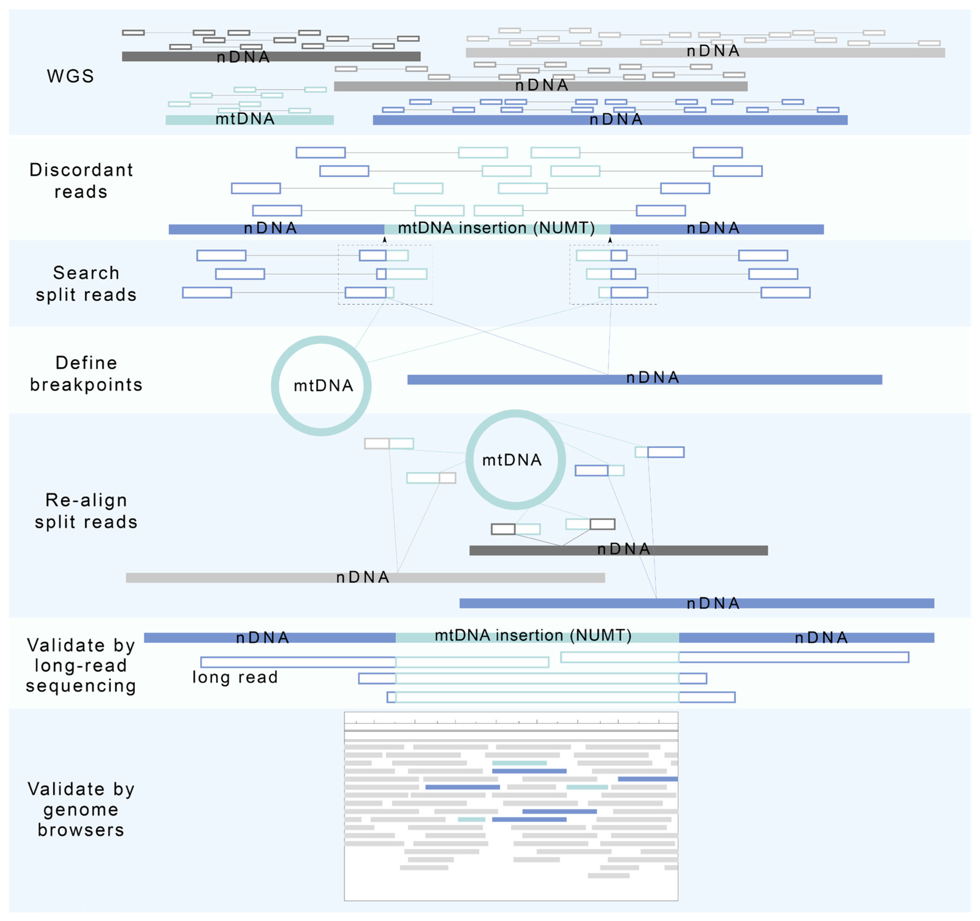Biomolecules 13 00753 g003