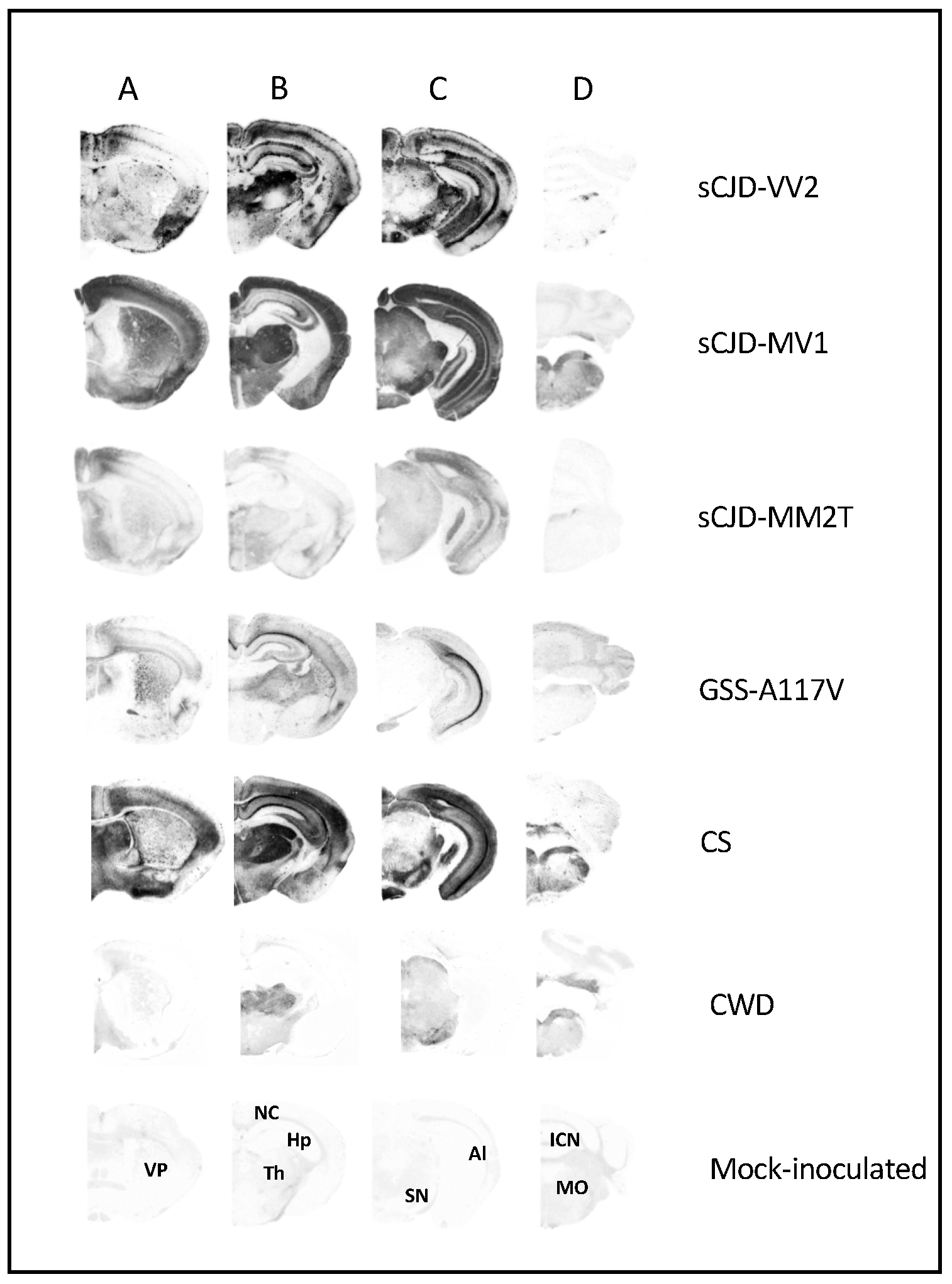 Biomolecules 13 00757 g002