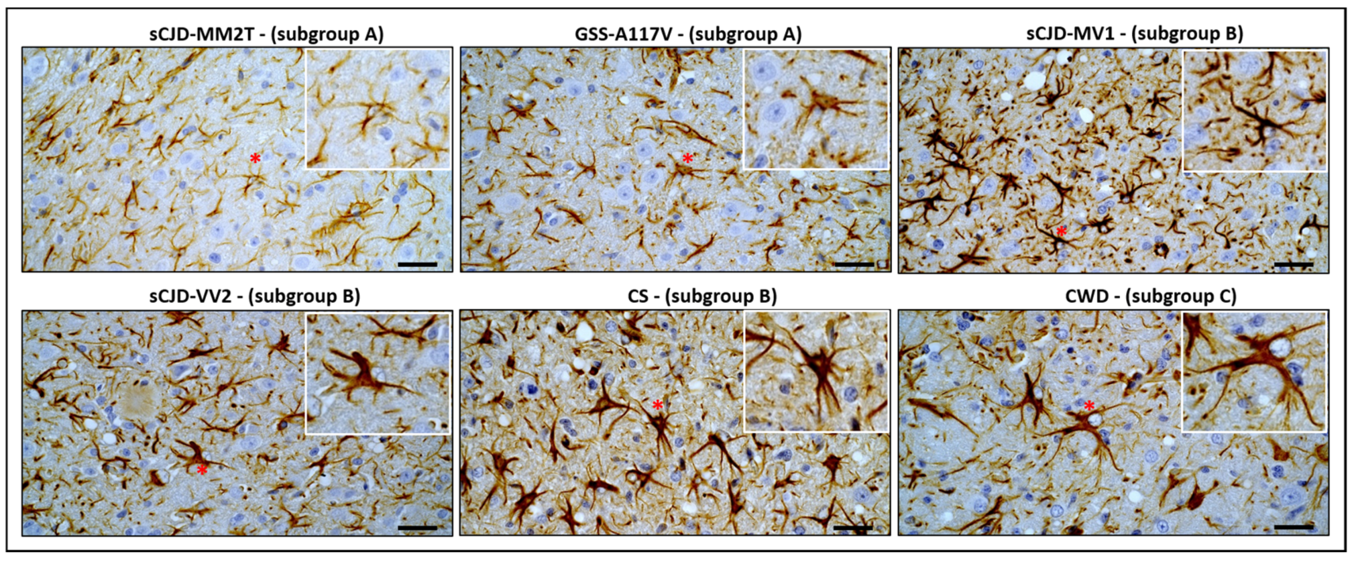Biomolecules 13 00757 g004