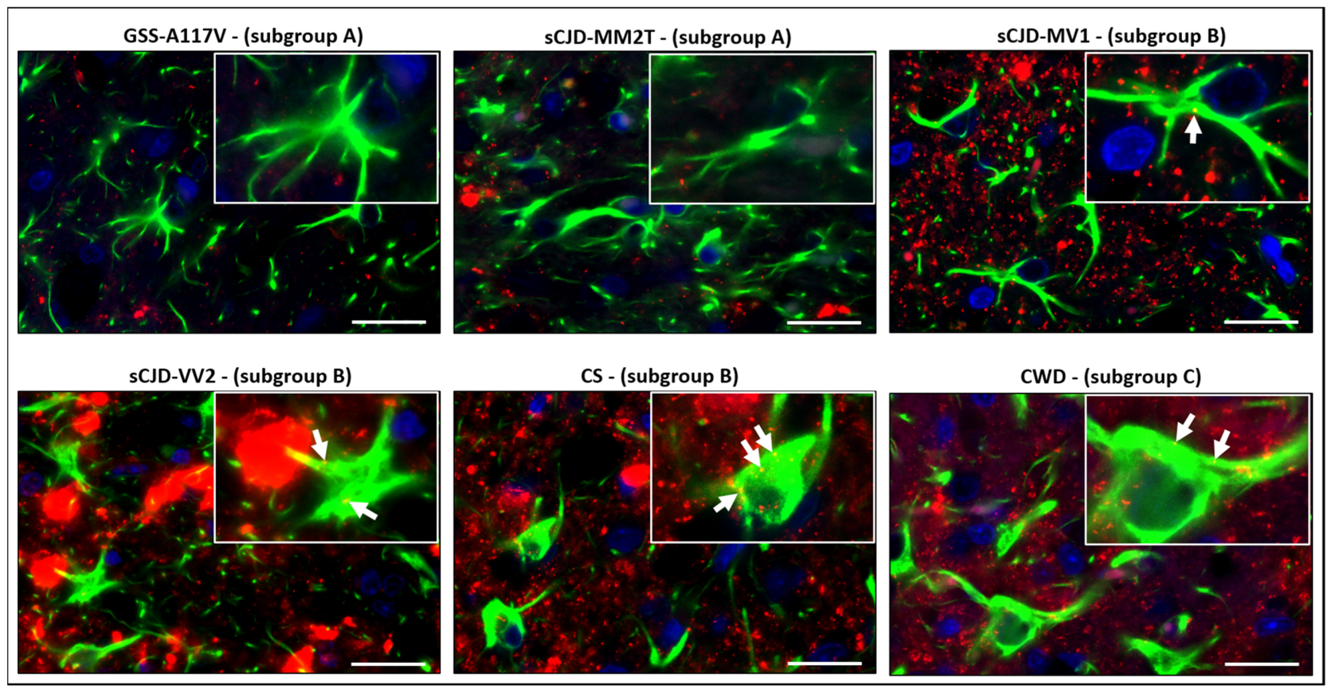 Biomolecules 13 00757 g005