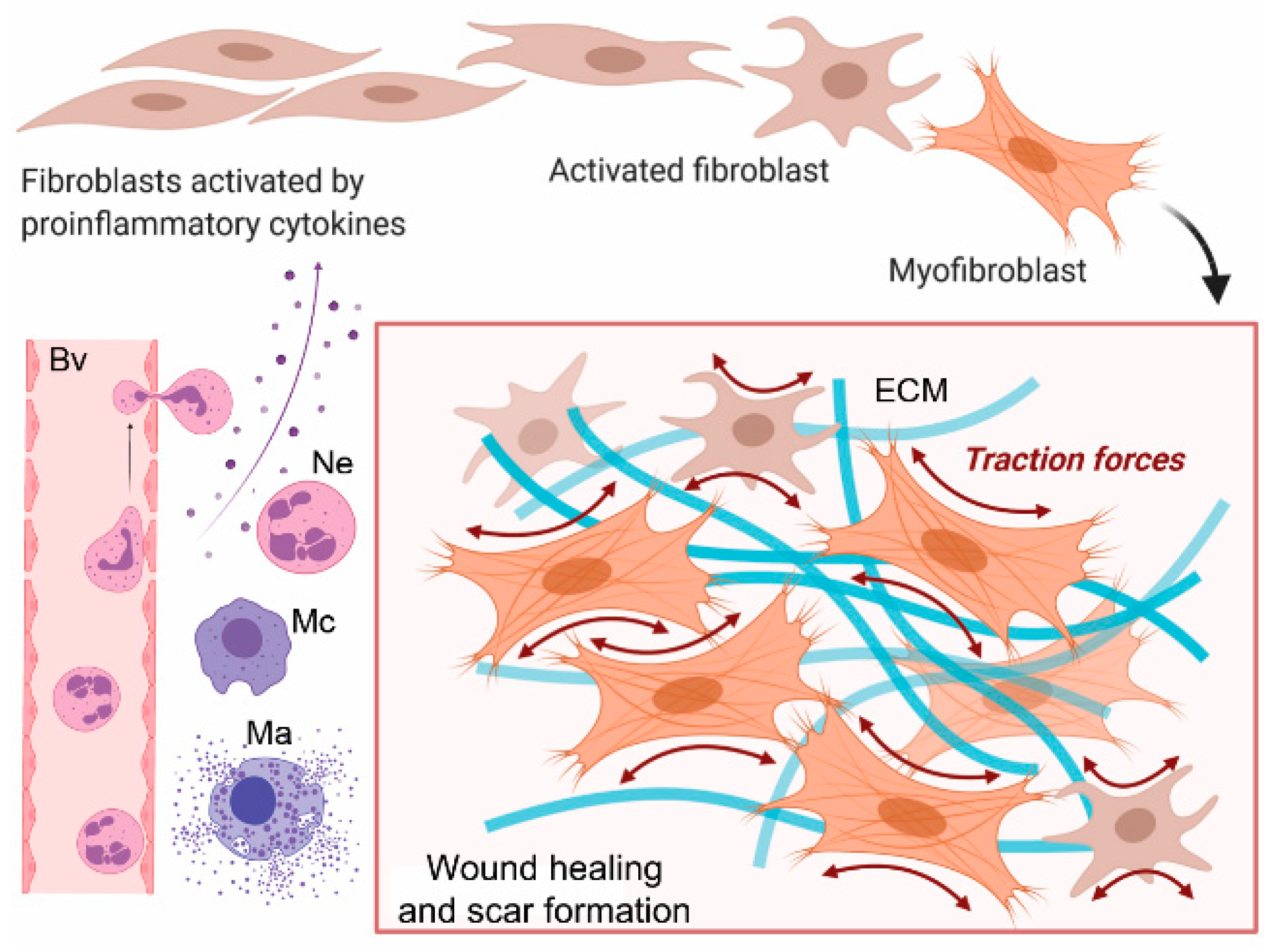 Biomolecules 13 00758 g001