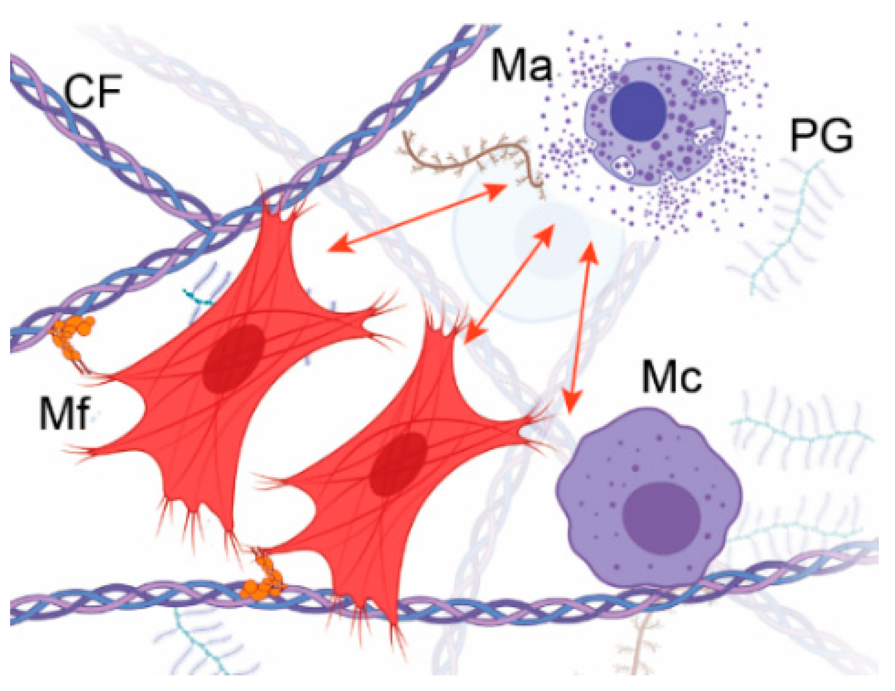 Biomolecules 13 00758 g002