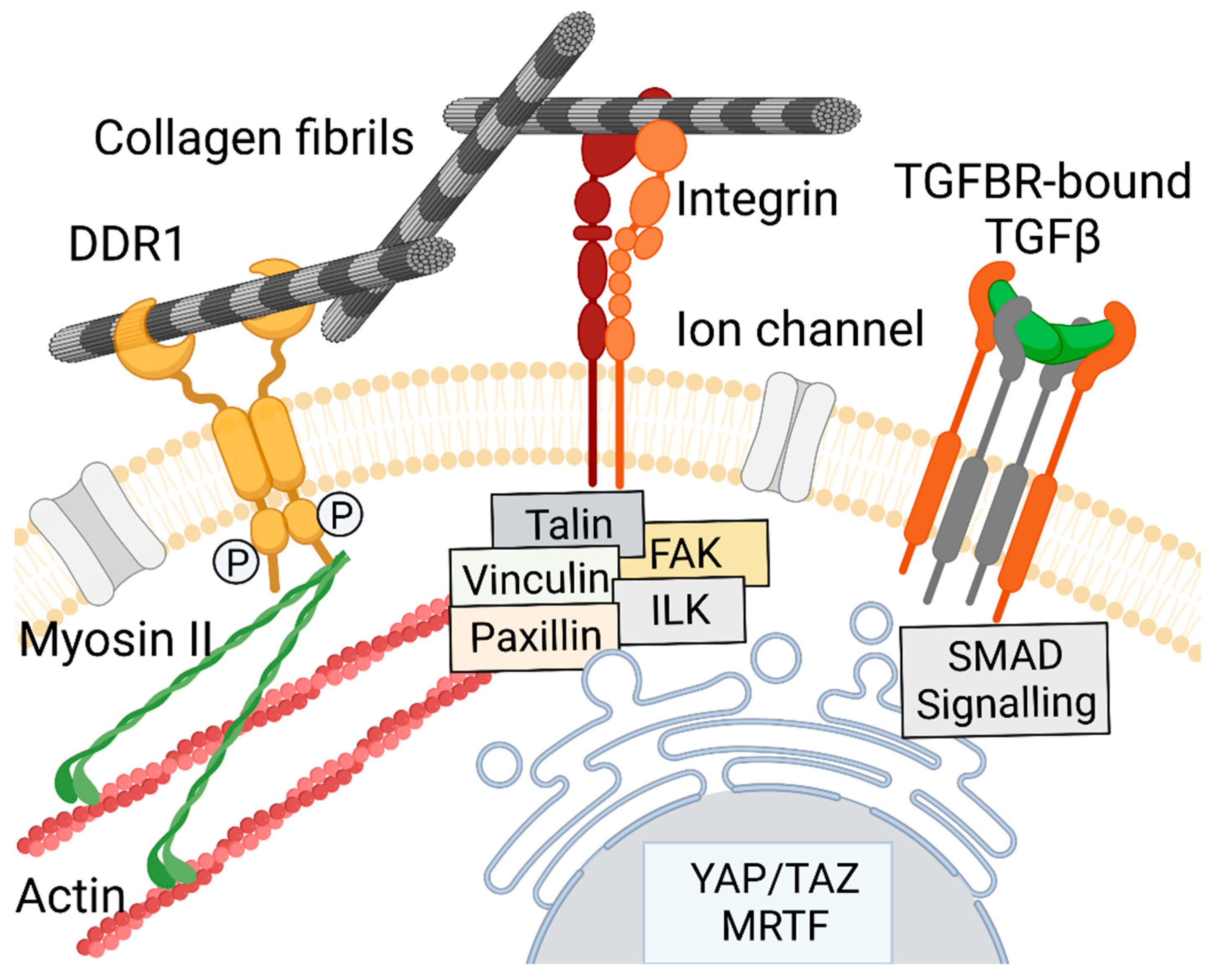 Biomolecules 13 00758 g004