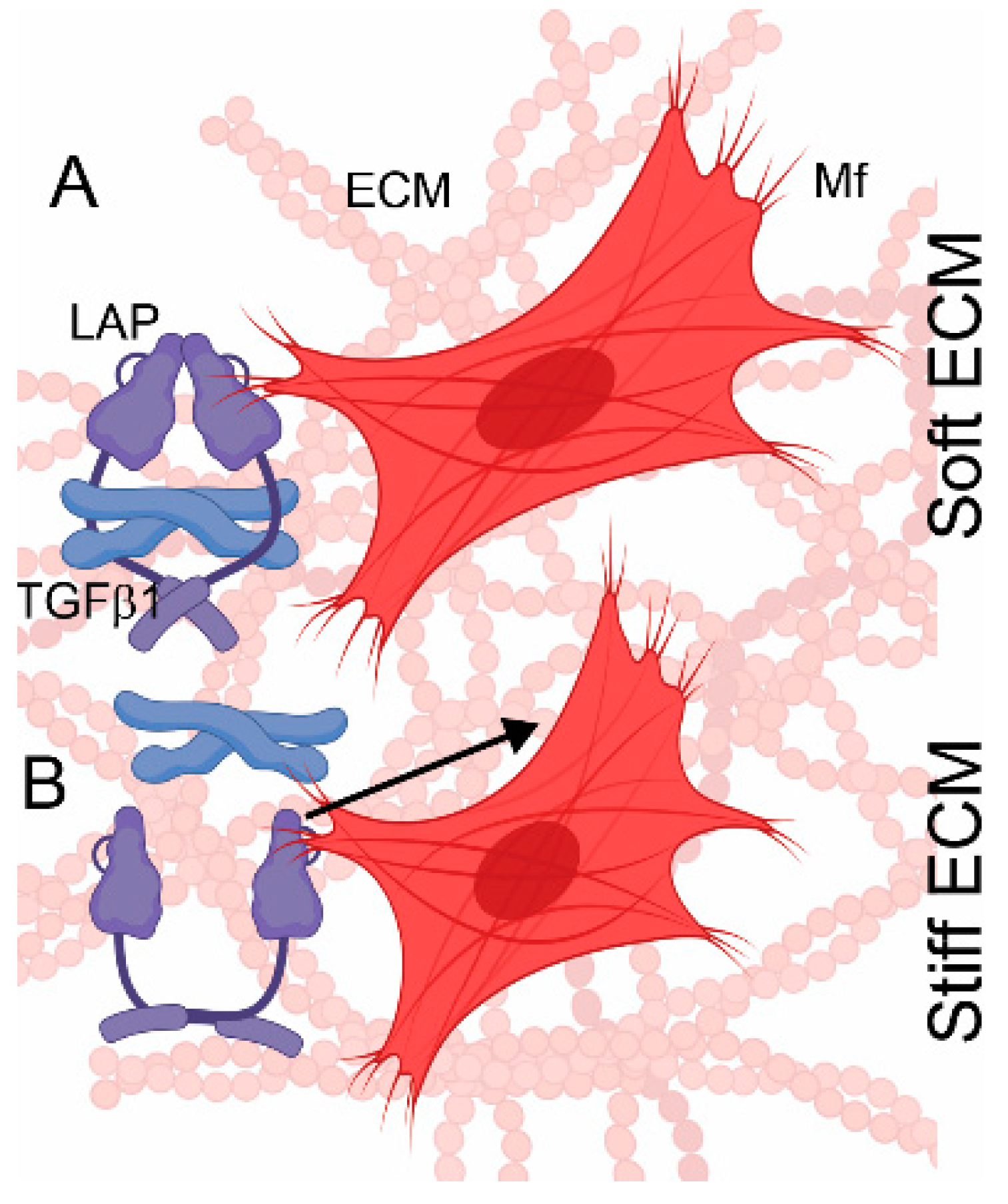 Biomolecules 13 00758 g005