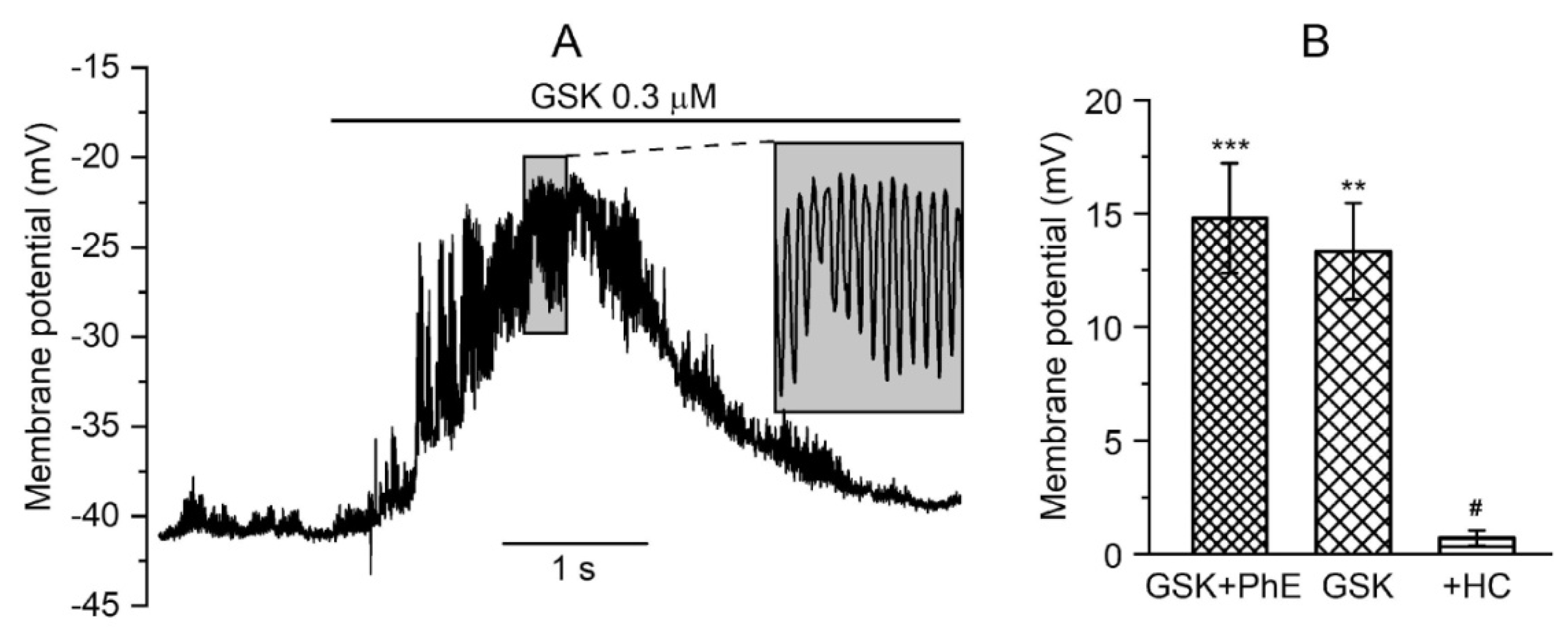 Biomolecules 13 00759 g004