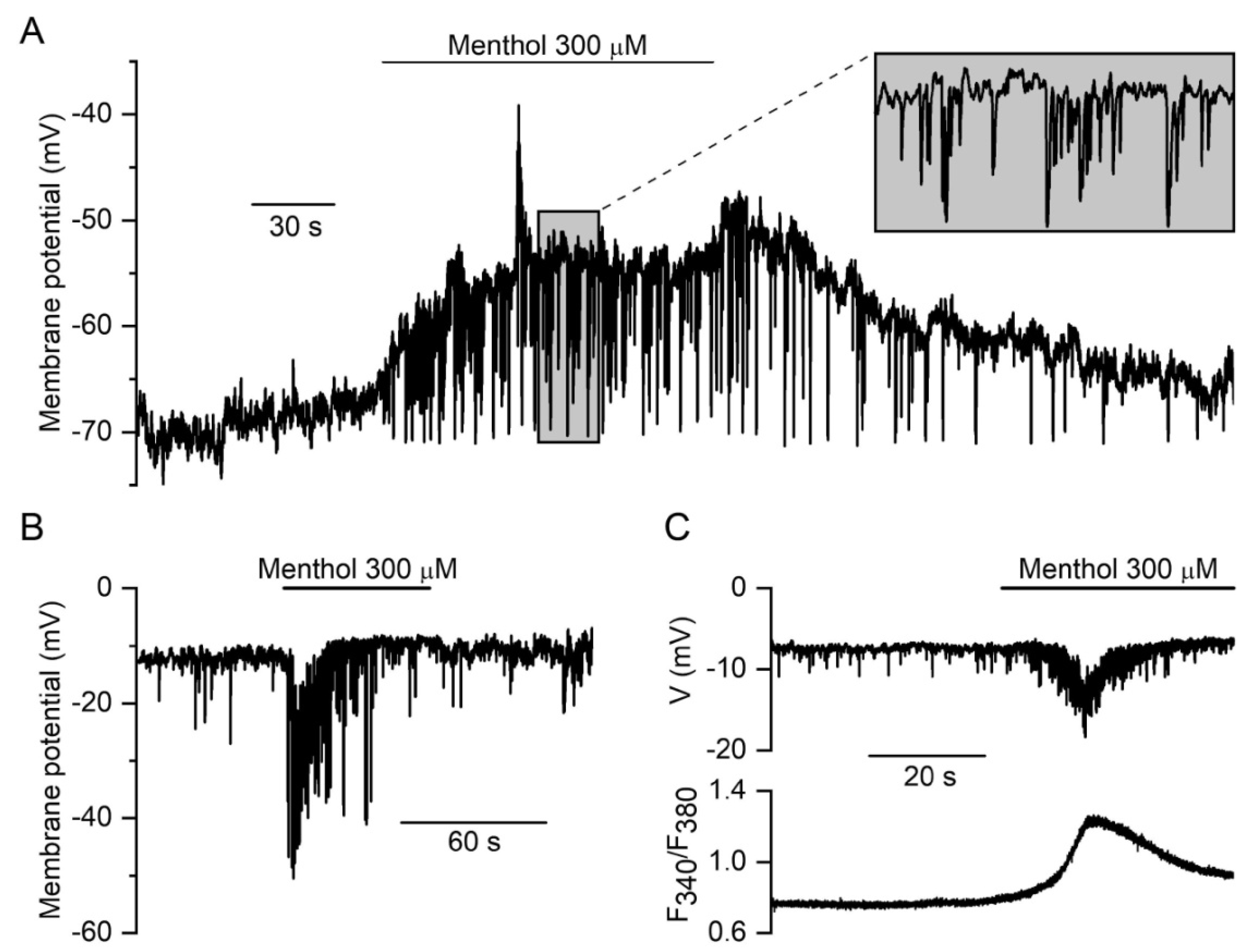 Biomolecules 13 00759 g005
